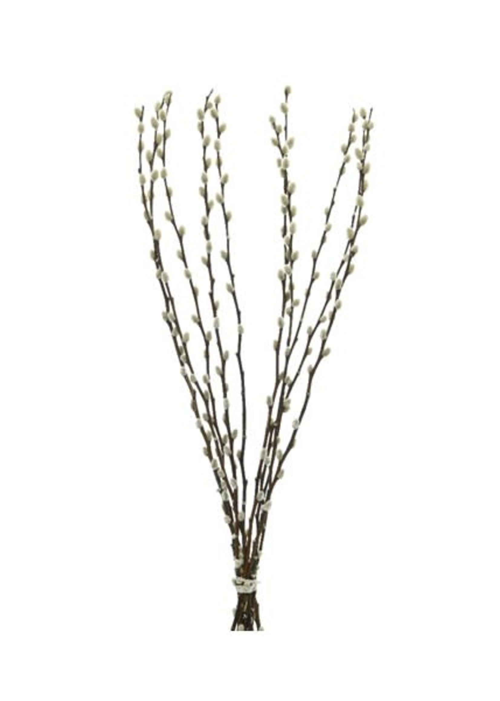 Decoris Pussy willow pussy Bunch 70cm