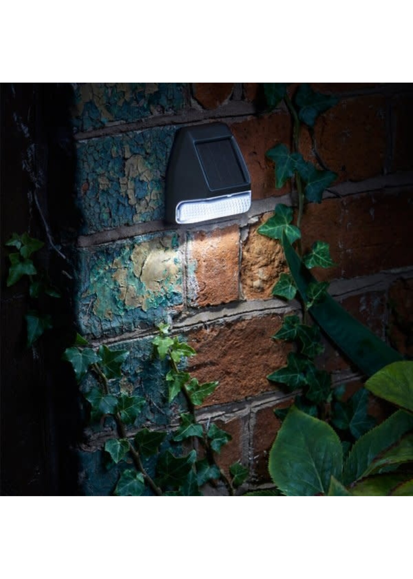 Smart Solar Solar Fence, Wall & Post  Light