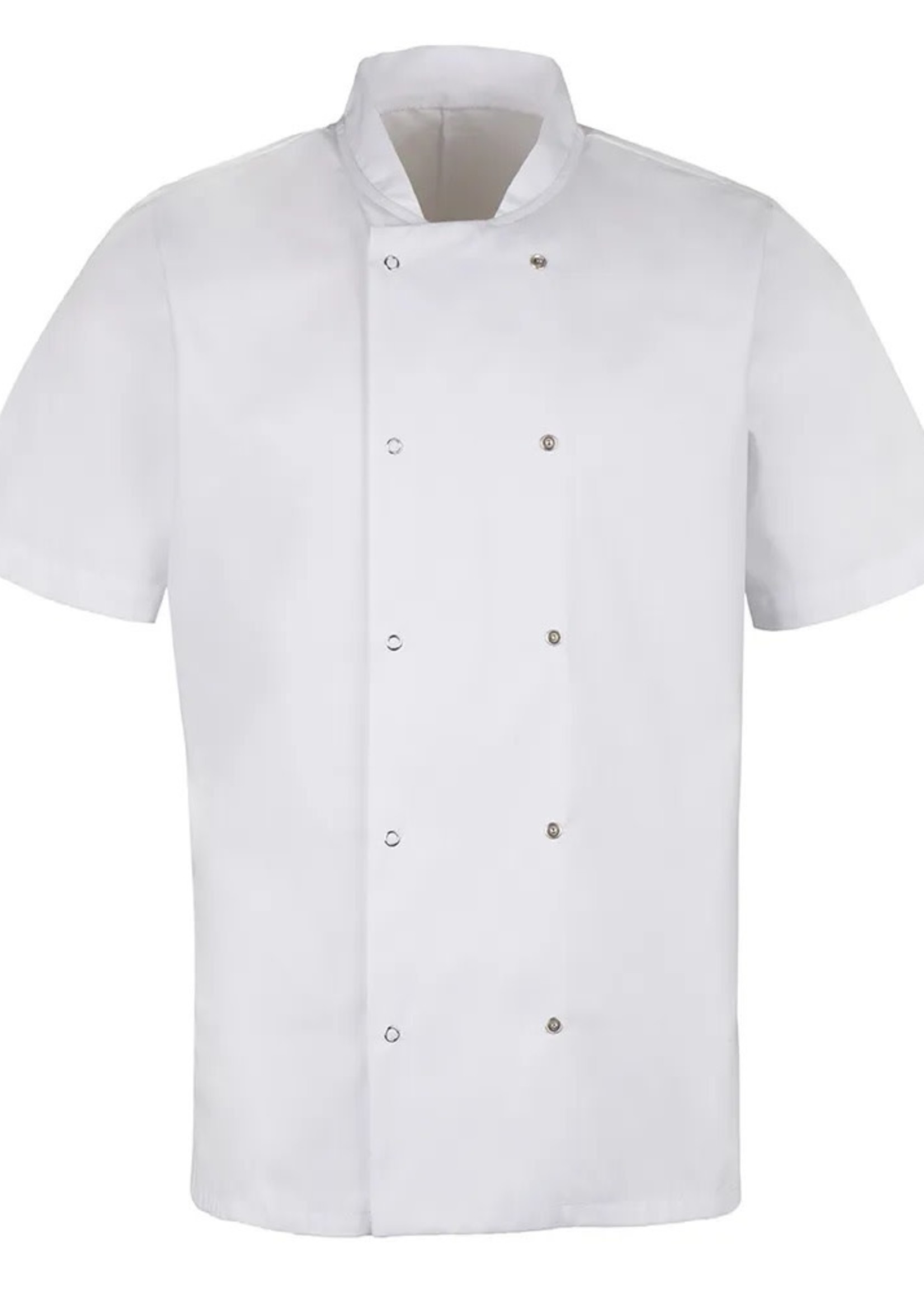 Short Sleeved buttoned Chefs Jacket HO10