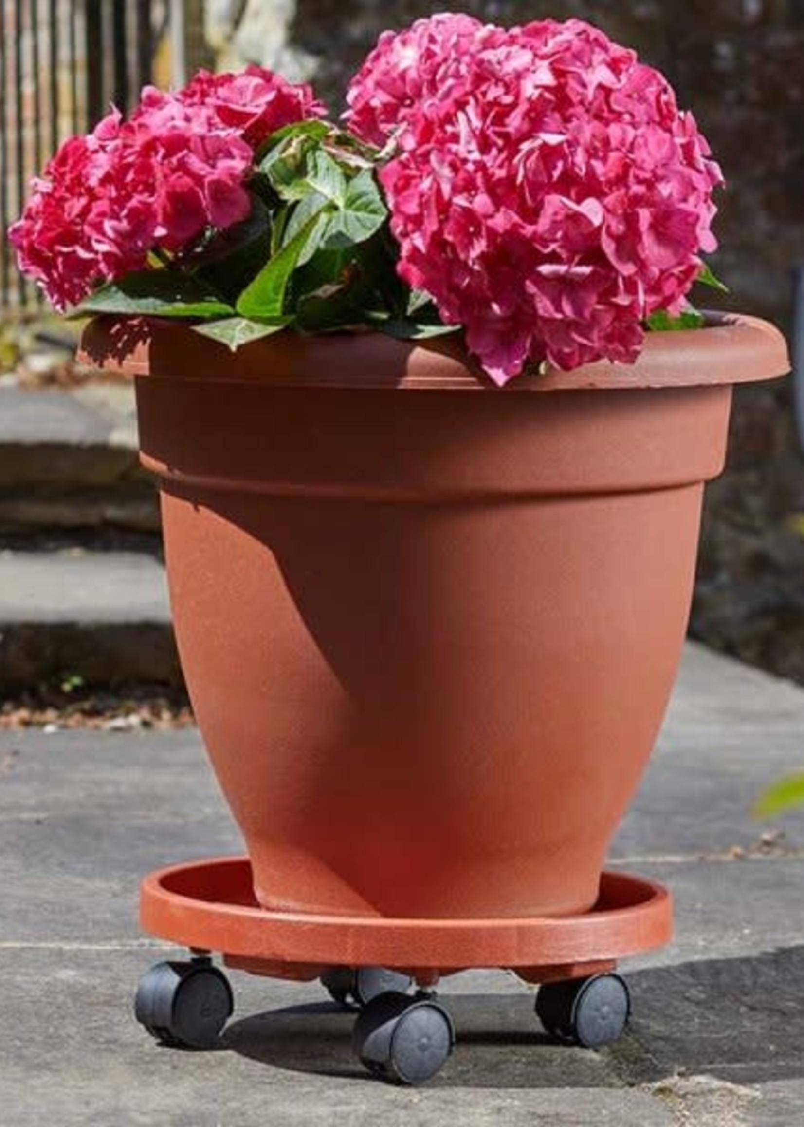 Smart Garden Pot Caddy, Tan 29cm