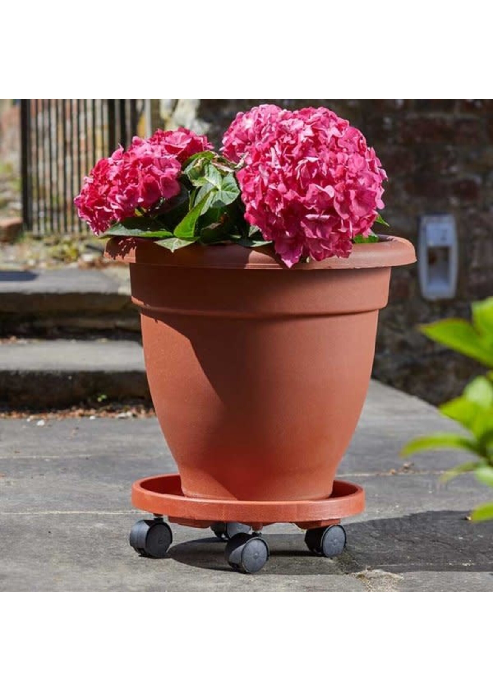 Smart Garden Pot Caddy, Tan 29cm