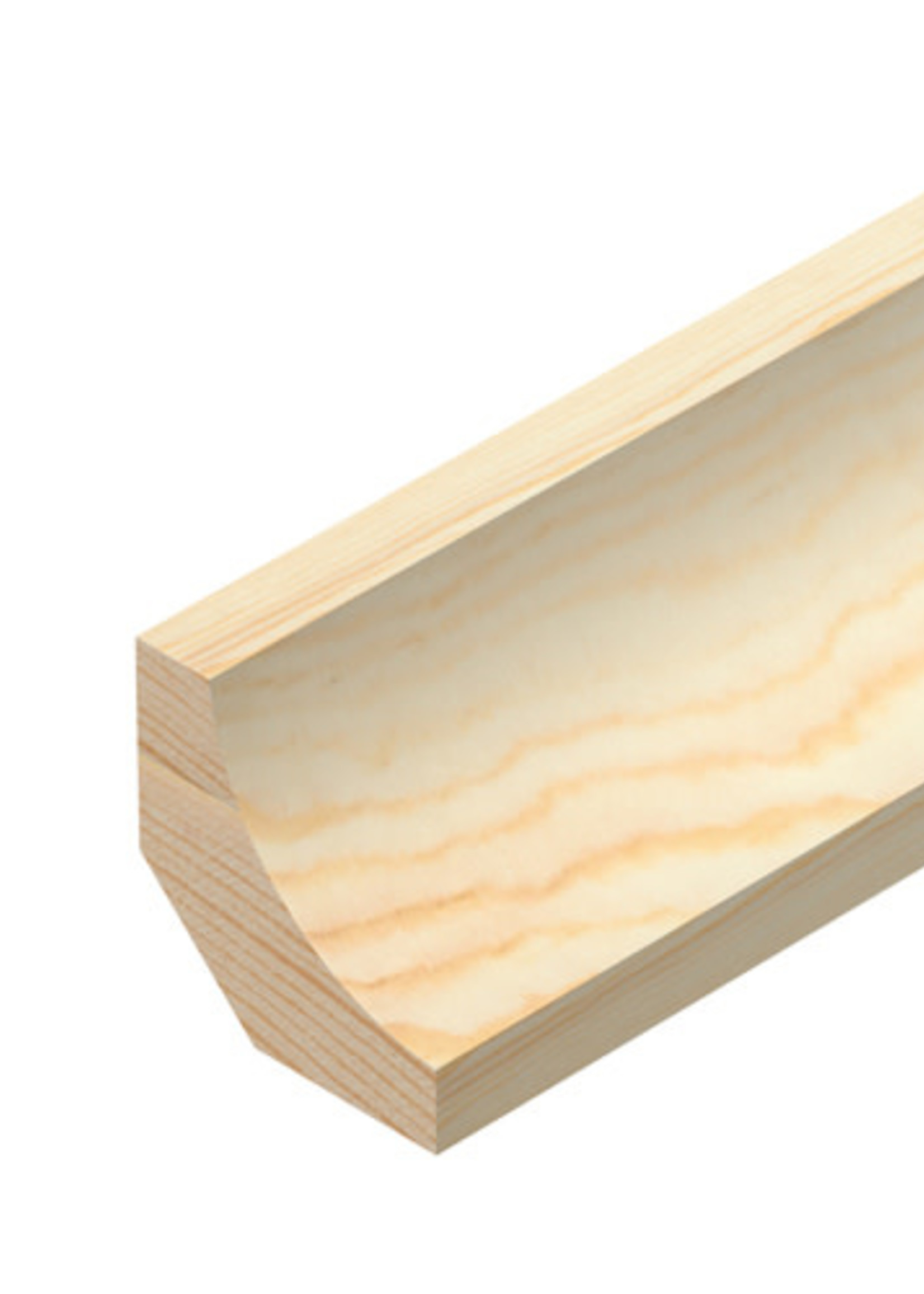 Back Off Scotia Pine
