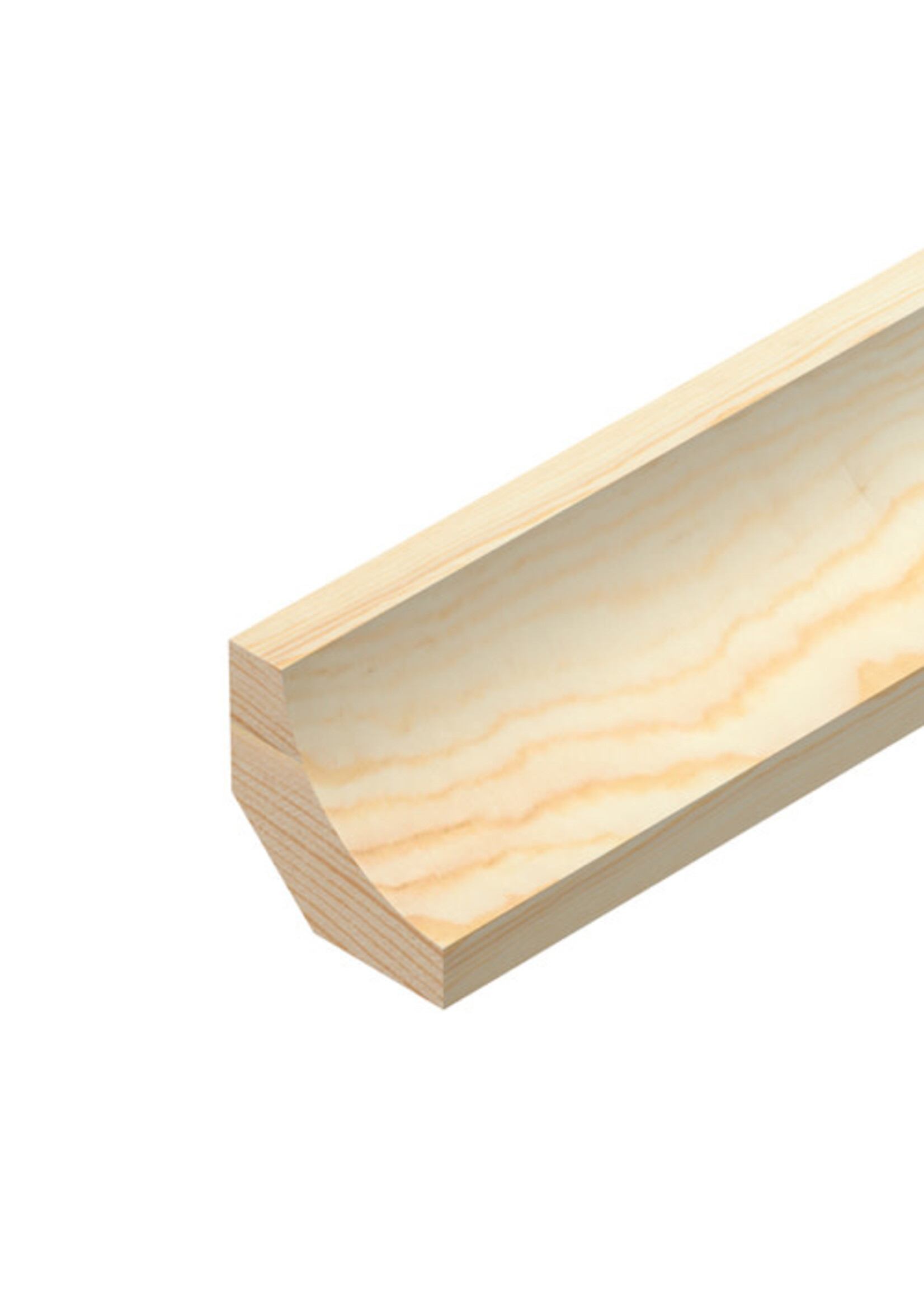 Back Off Scotia Pine