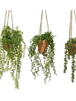 Decoris Hanging Plant in pot (3 assorted Price is for one) 40cm