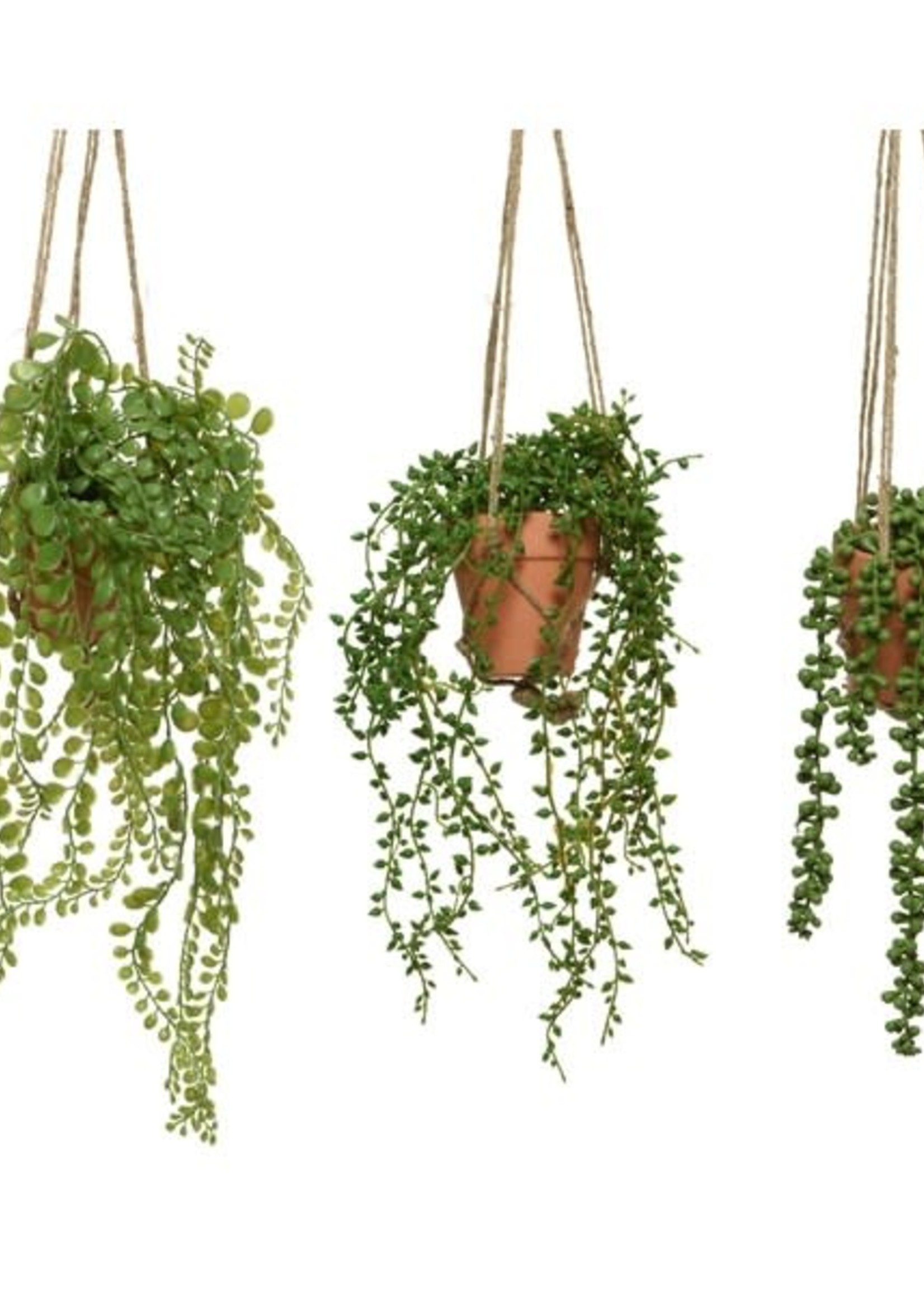 Decoris Hanging Plant in a Pot (3 Assorted - Price is for One) 40cm