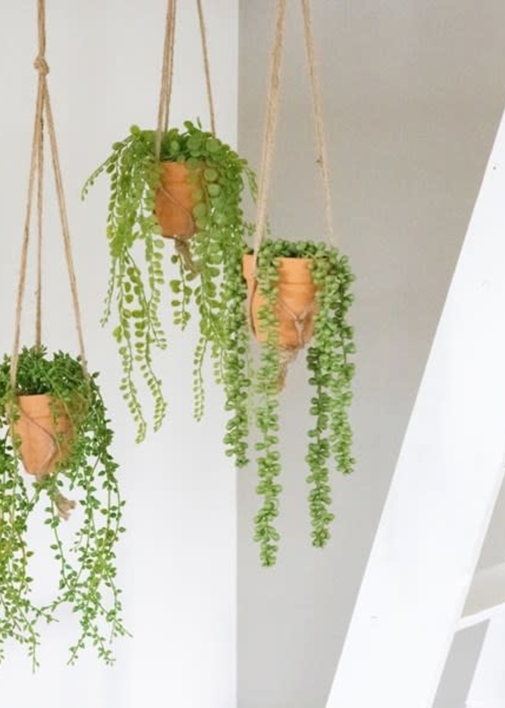 Decoris Hanging Plant in a Pot (3 Assorted - Price is for One) 40cm