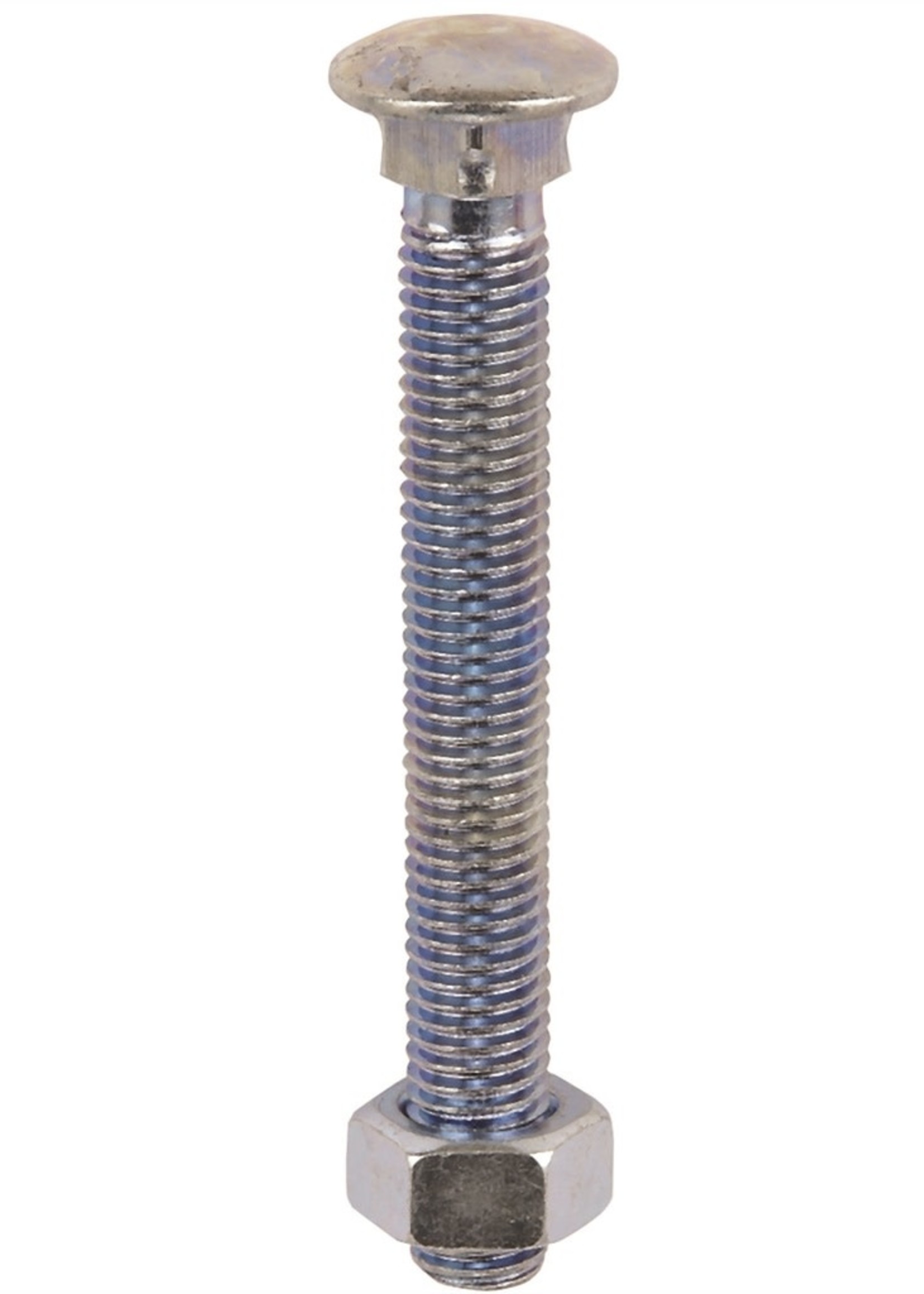 Select Carriage Nuts and Bolts M6 x 100mm