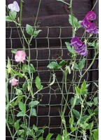 Ambassador Climbing Plant Support Netting Green 5m x 0.5m