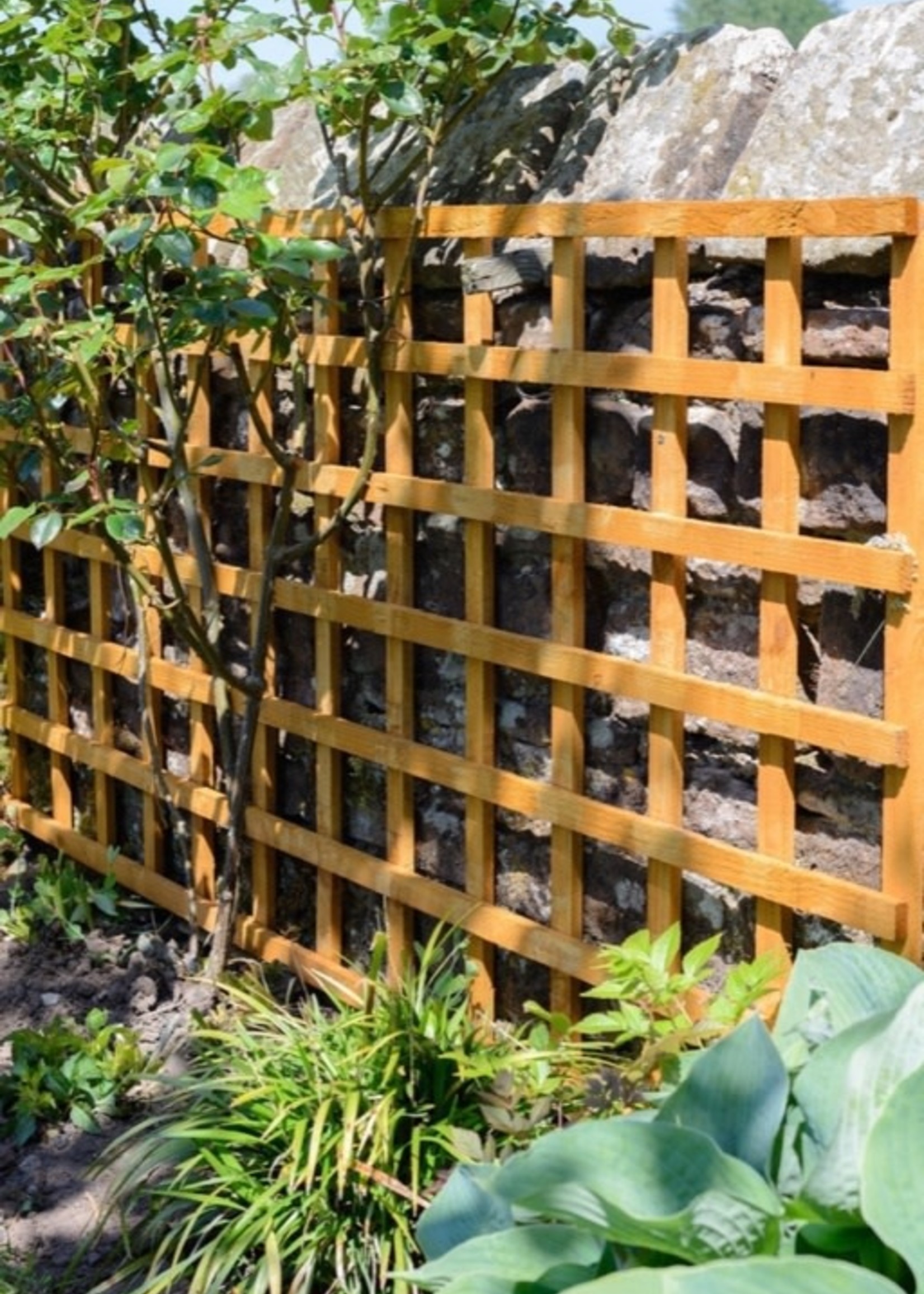 Grange Grange Heavy Duty Square Trellis