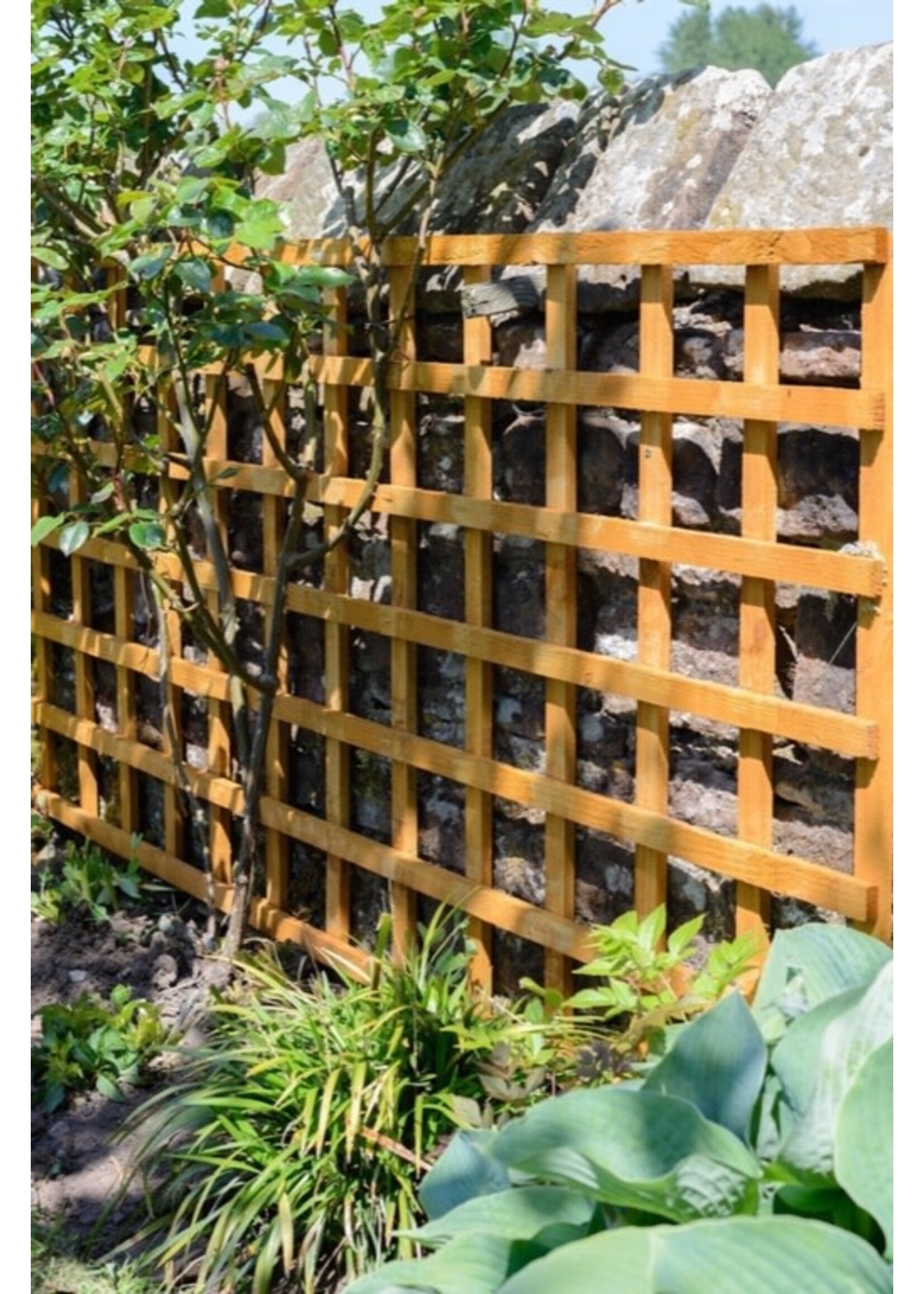 Grange Grange Heavy Duty Square Trellis