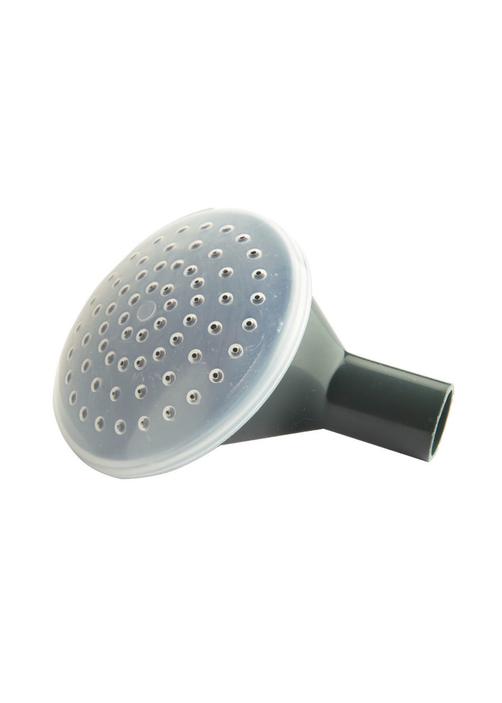 Ward Ward Coarse Round Watering Can Rose