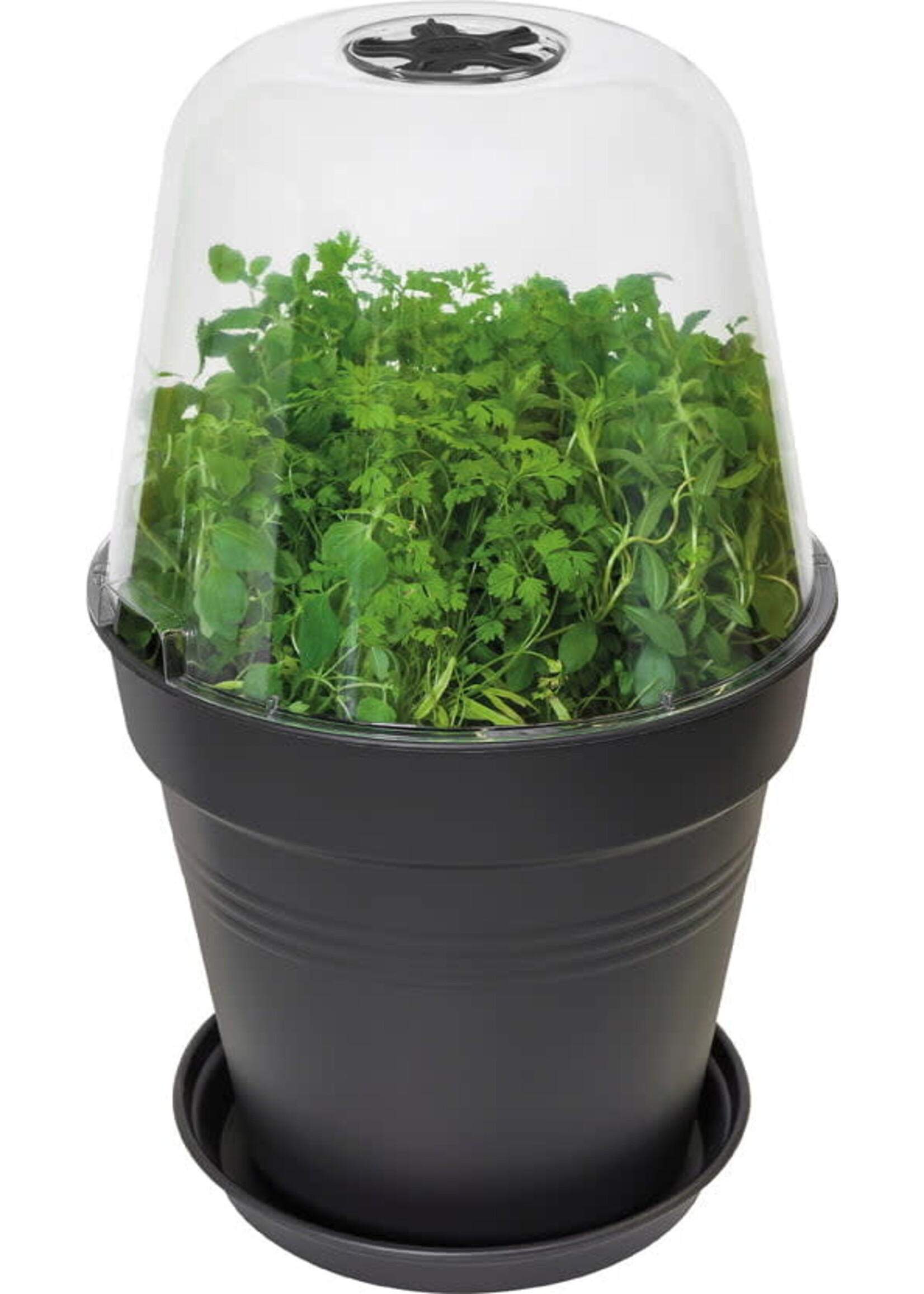 Elho Green Basics Growpot