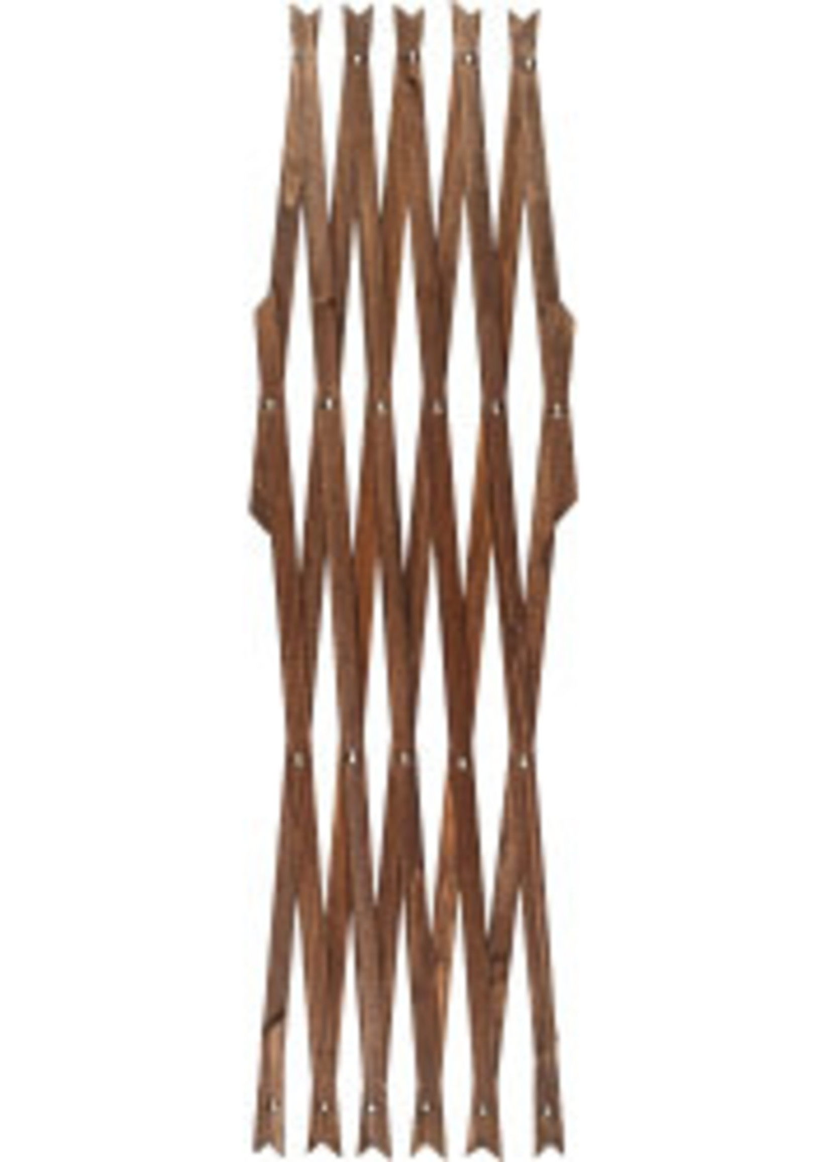 Ambassador Ambassador Expanding Trellis (X) - Brown