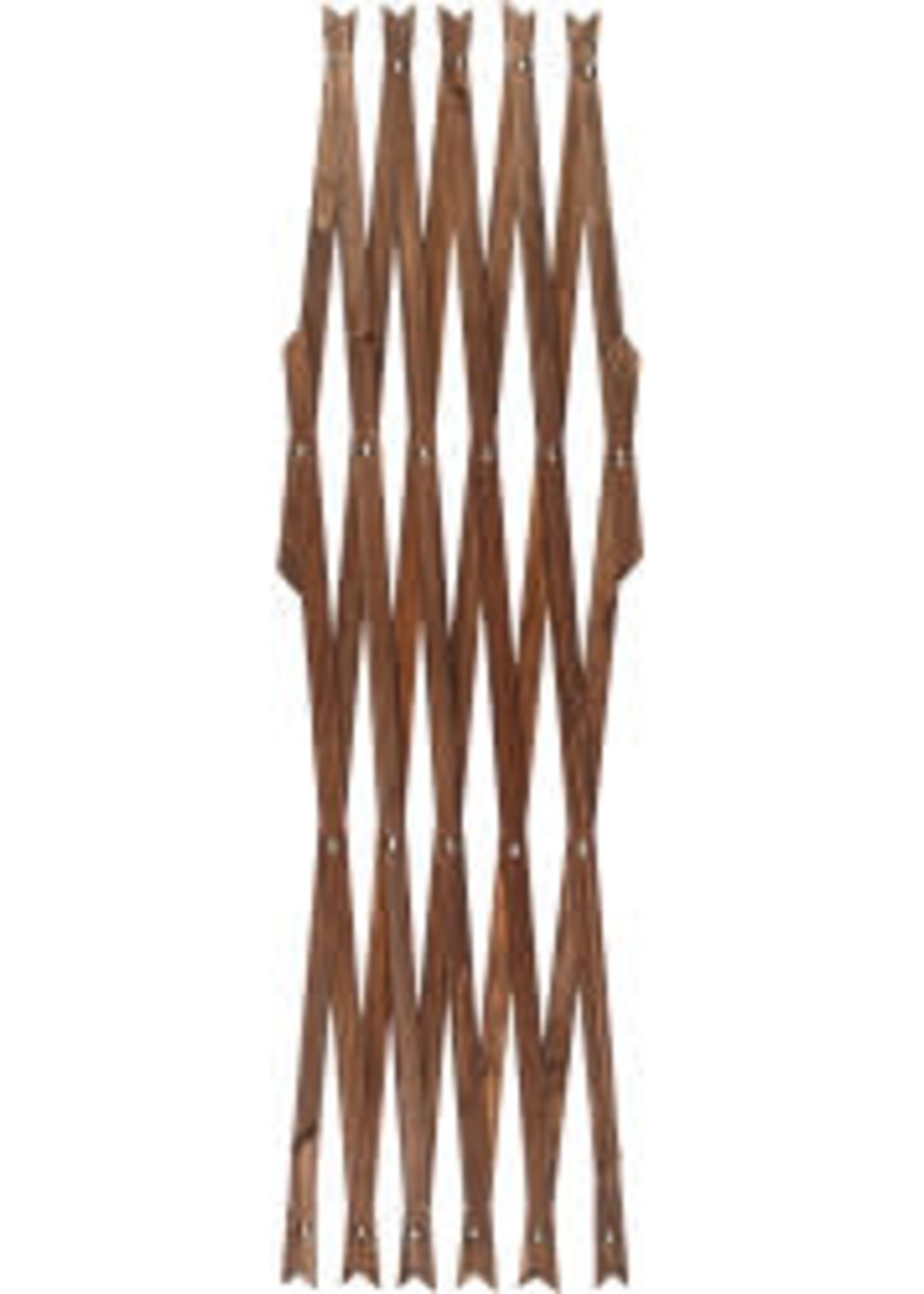 Ambassador Ambassador Expanding Trellis (X) - Brown