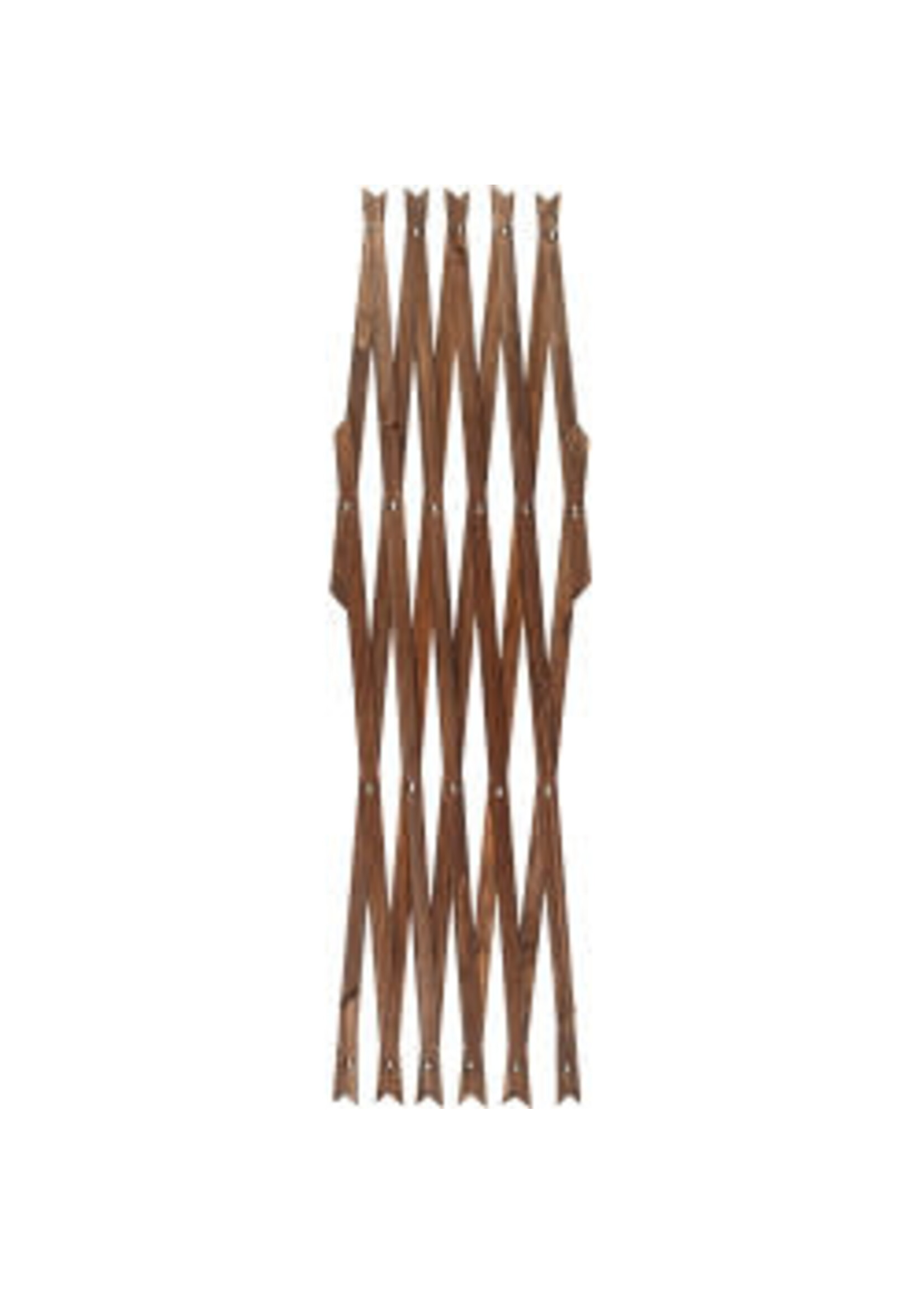 Ambassador Ambassador Expanding Trellis (X) - Brown