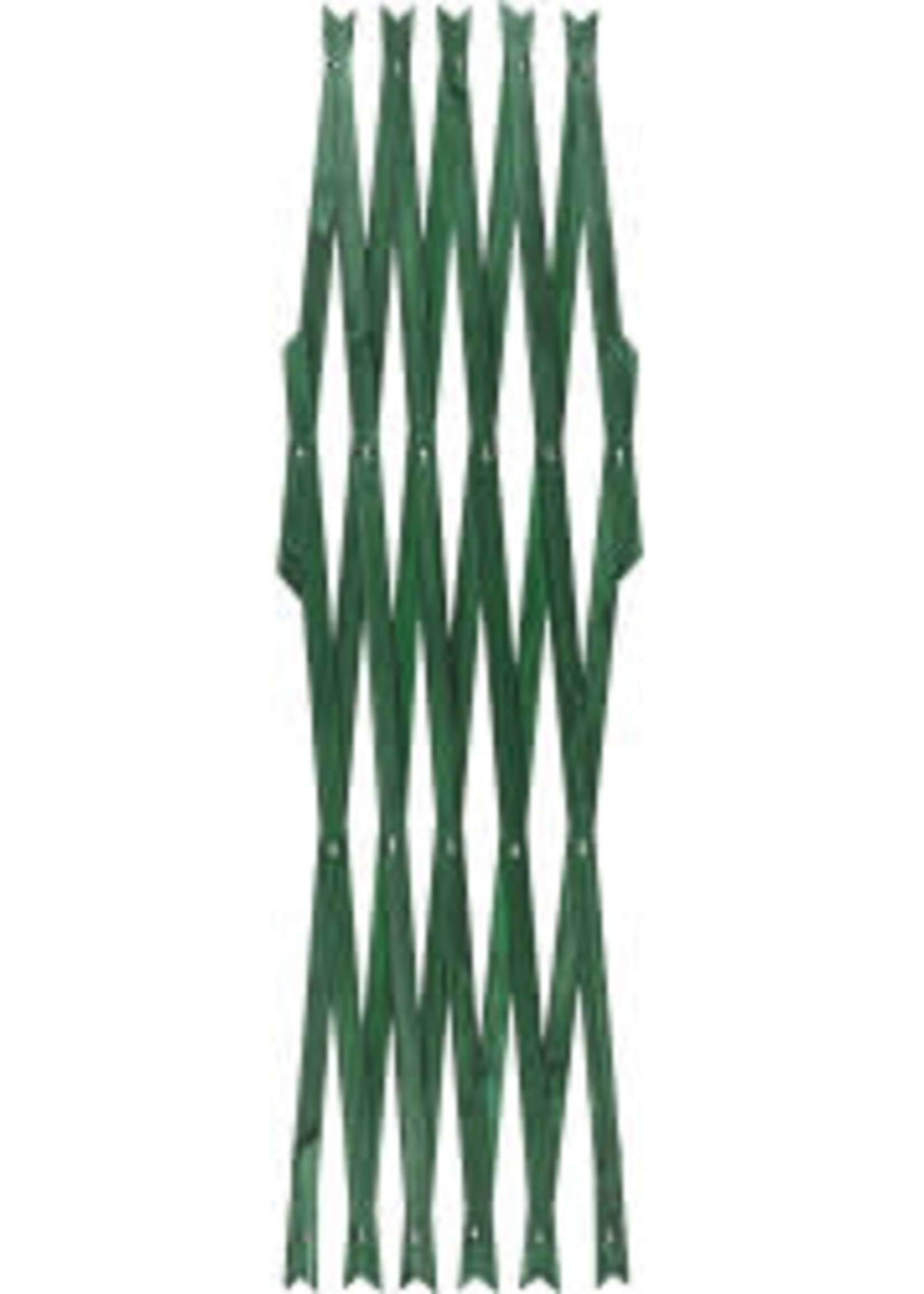 Expanding Trellis Green Clock’s Home and Garden