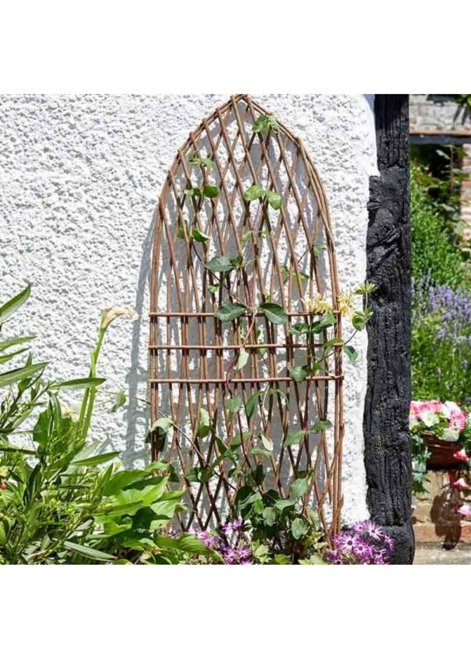 Smart Garden Willow Trellis - Gothic