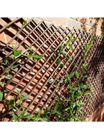 Smart Garden Expanding Willow Trellis