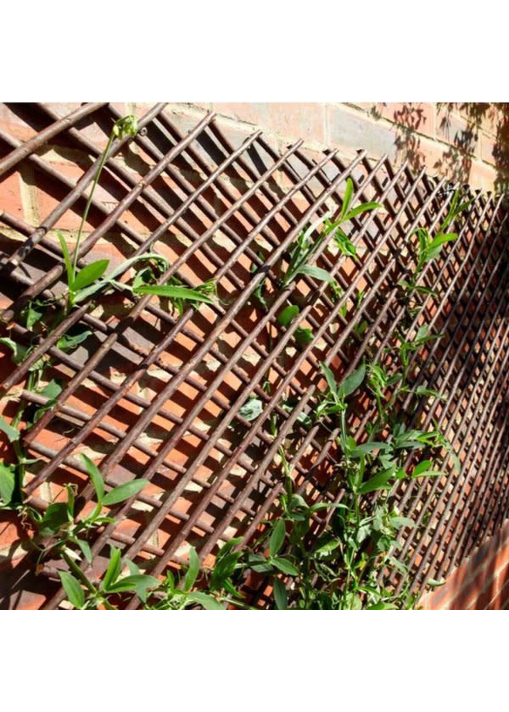 Smart Garden Expanding Willow Trellis