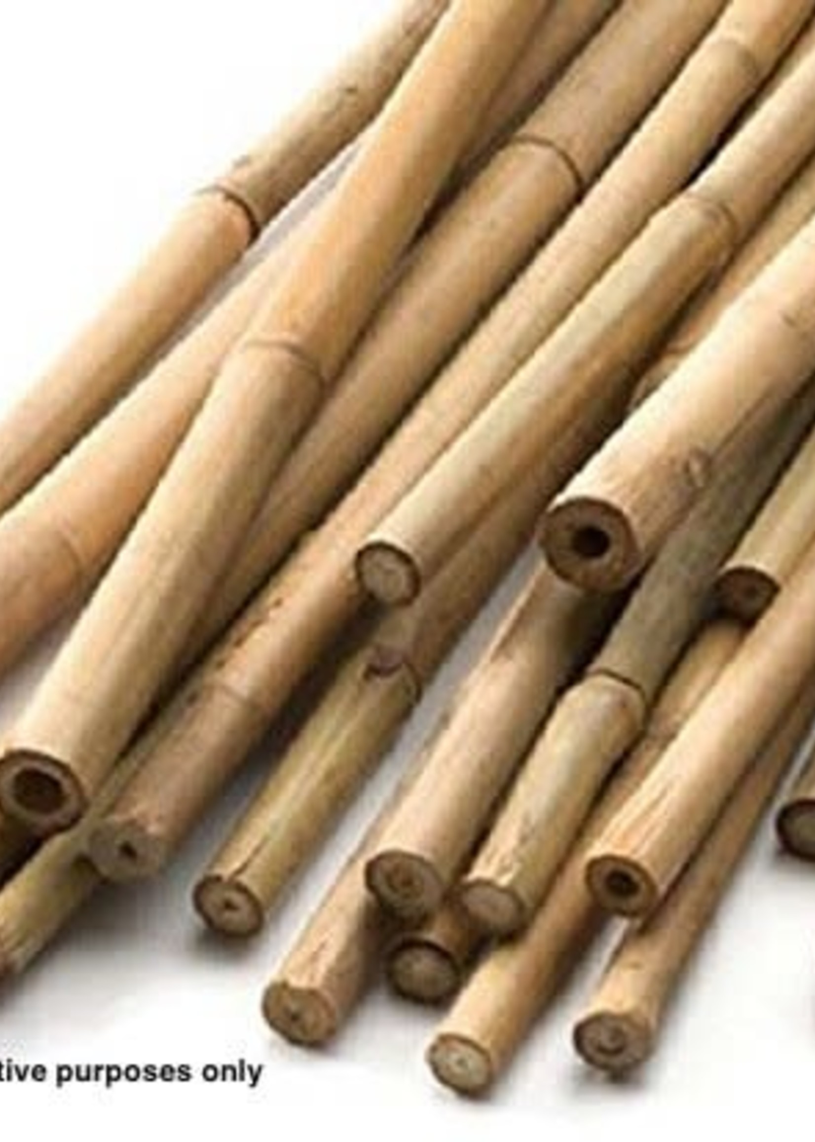 Apollo gardens Ltd Bamboo Canes