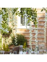 Ginger Ray White Wisteria