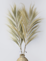 Ancient Wisdom Rayung Grass Blond - 1.6m