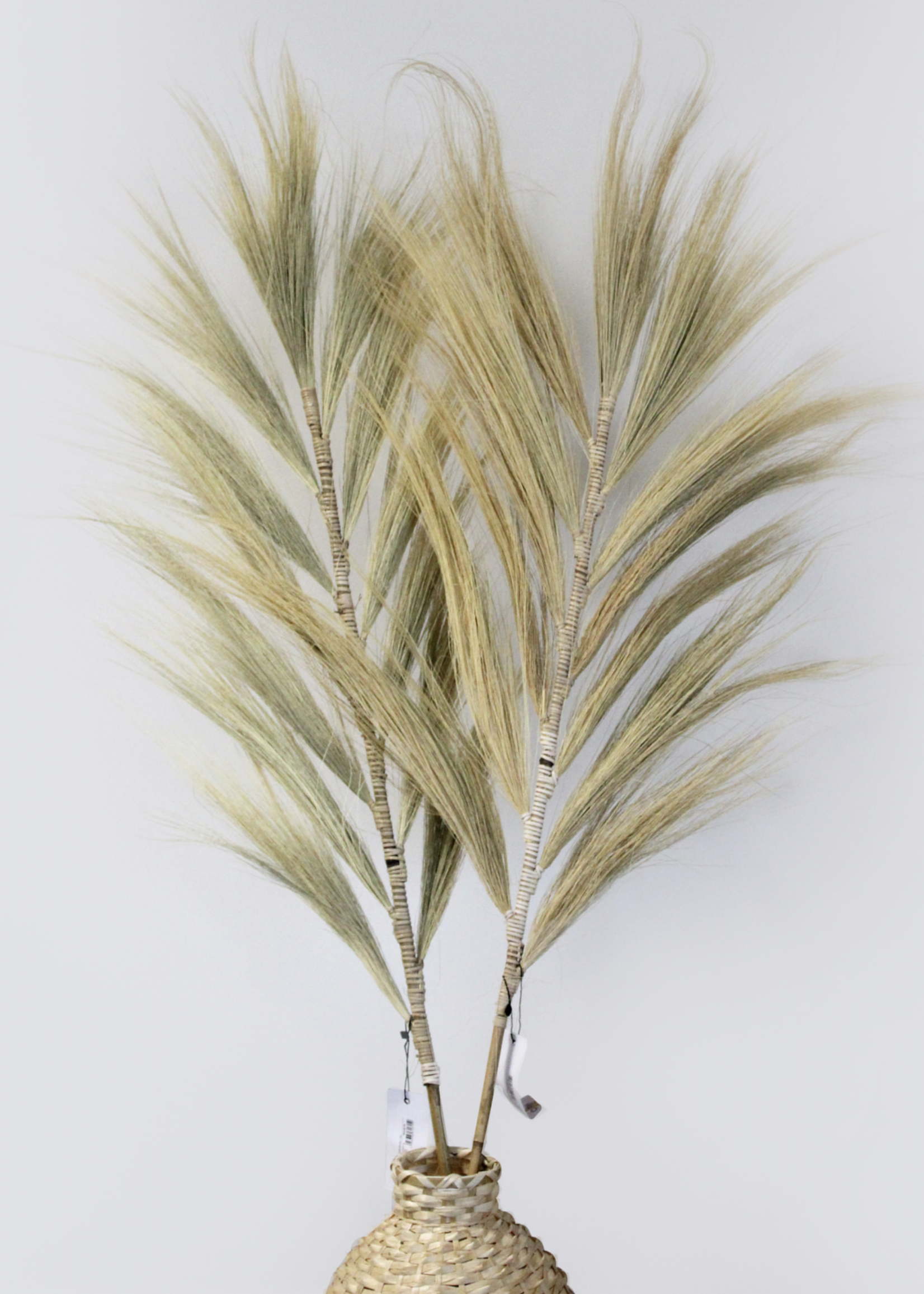 Ancient Wisdom Rayung Grass Blond - 1.6m