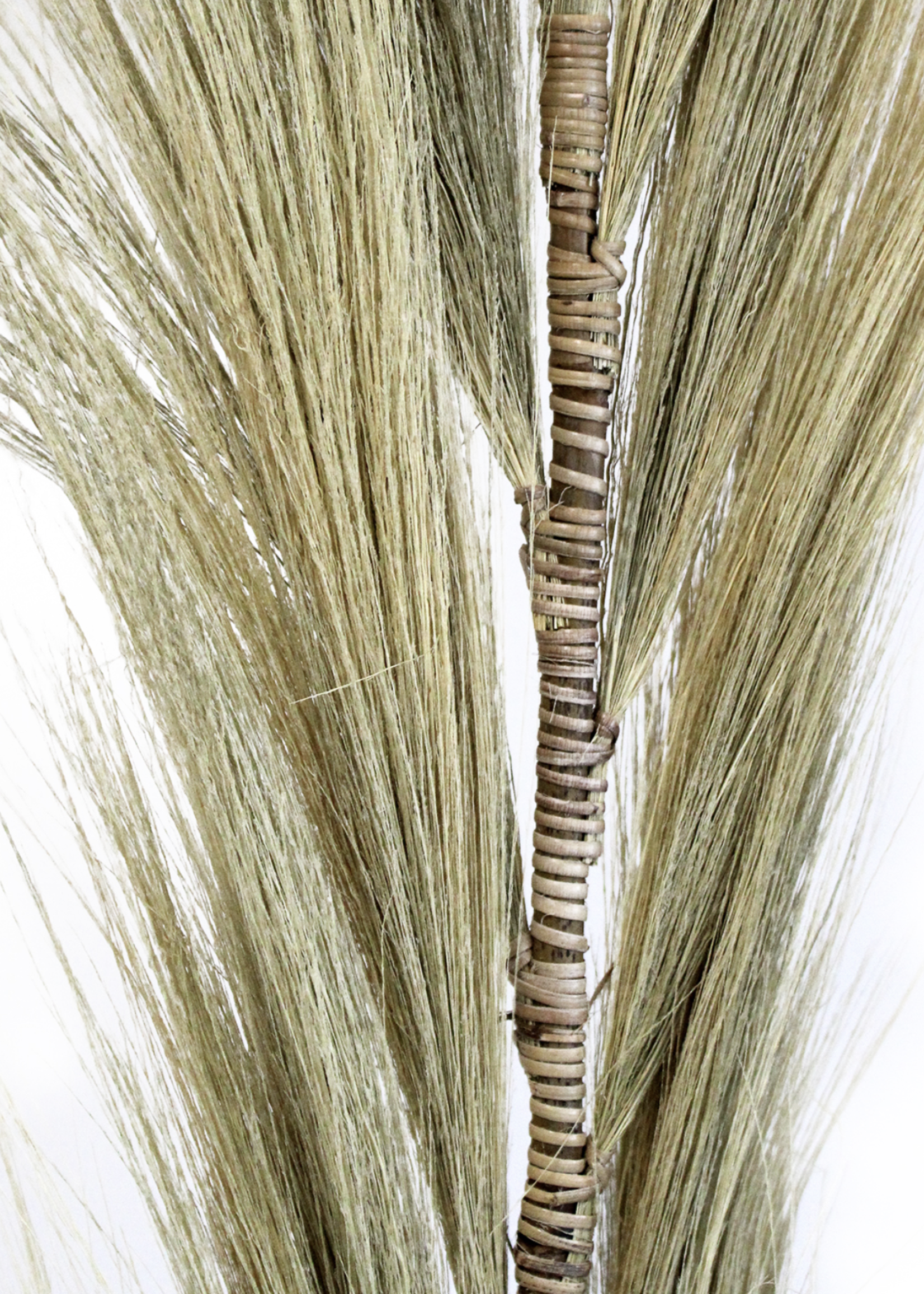 Ancient Wisdom Rayung Grass Blond - 1.6m