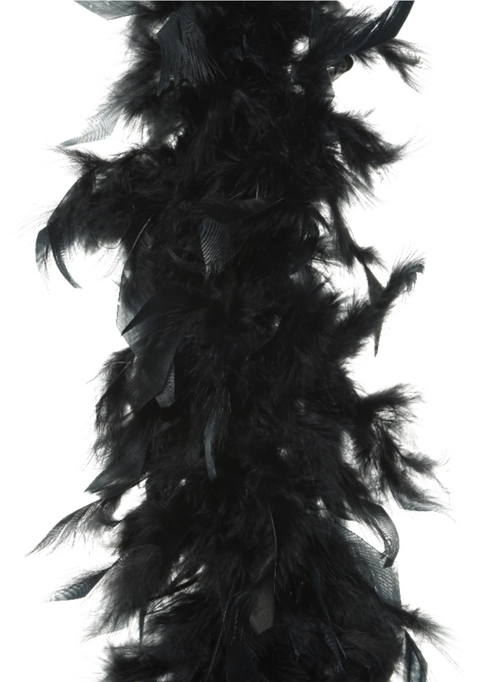 Black Feather Boa