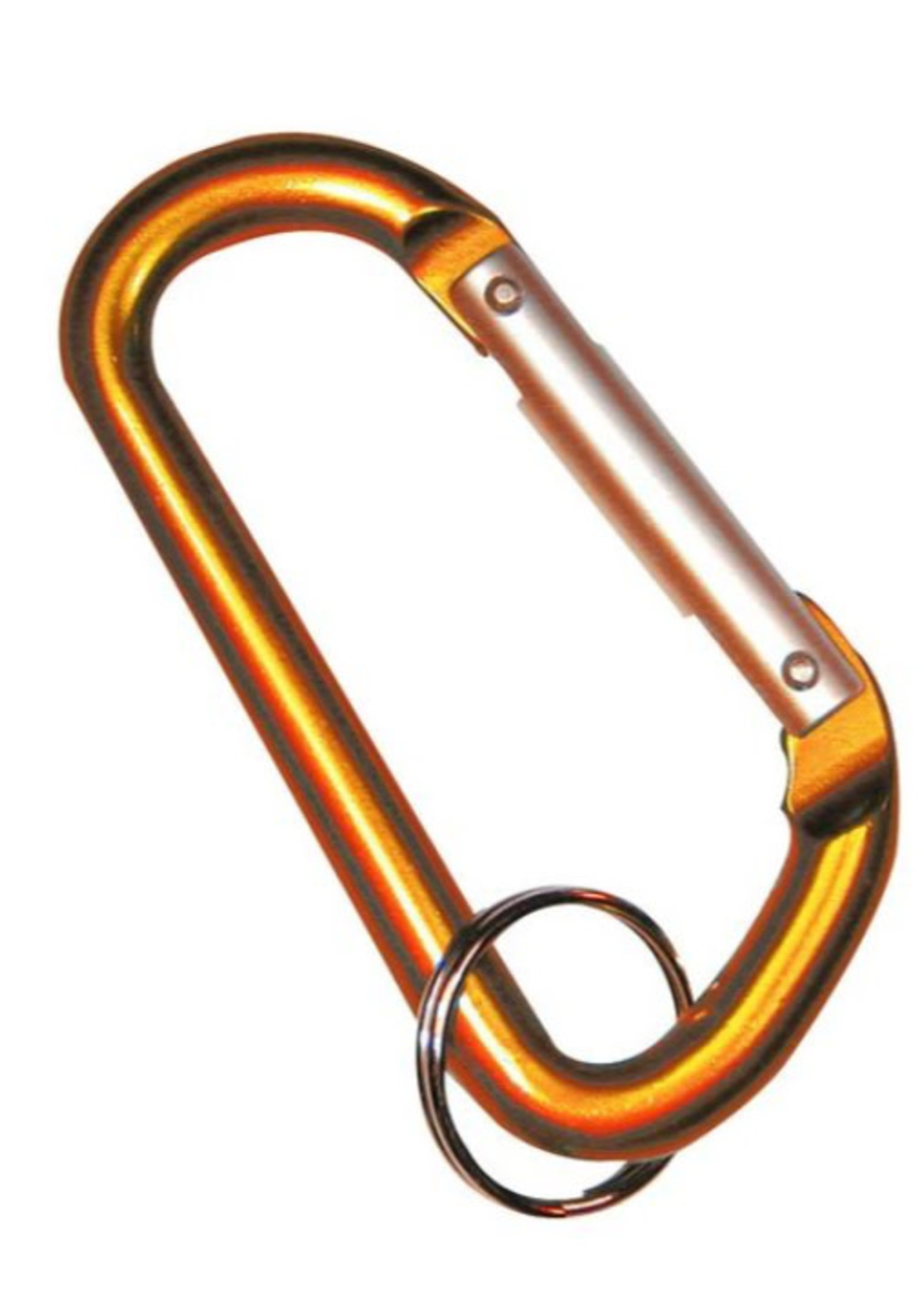Coloured Carabiner Key Ring - Medium