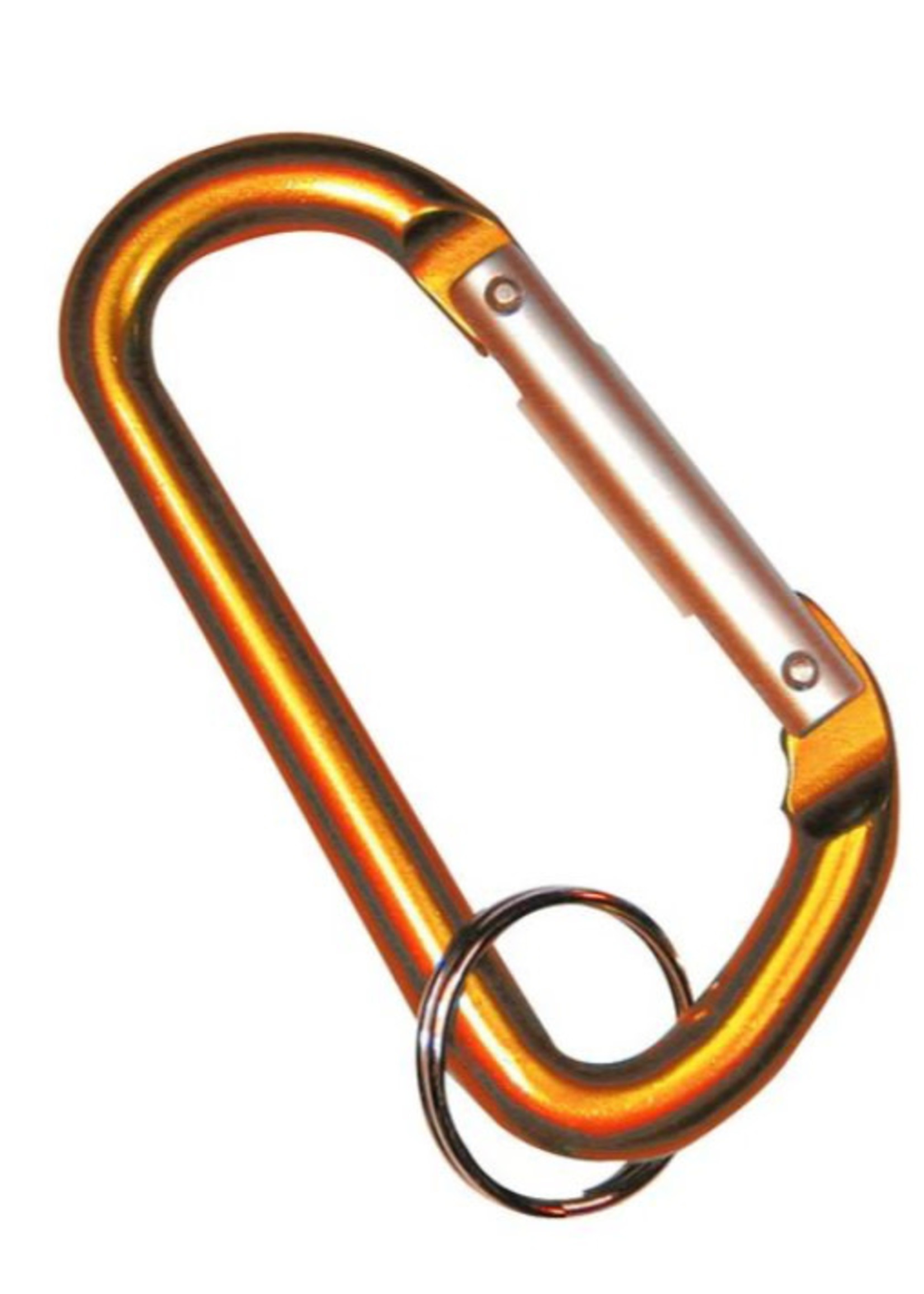 Coloured Carabiner Key Ring - Small