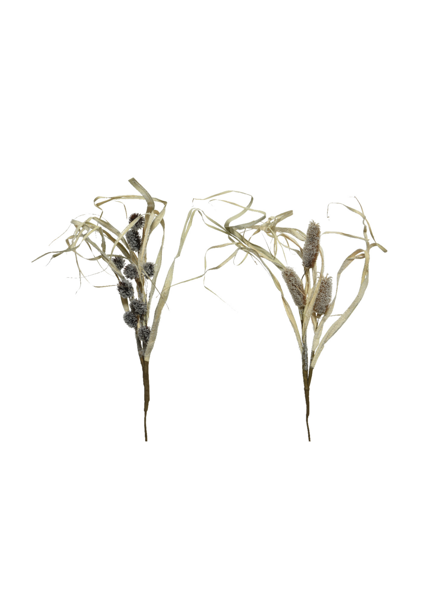 Everlands Thistle Grass Cornleaf Stem 65cm