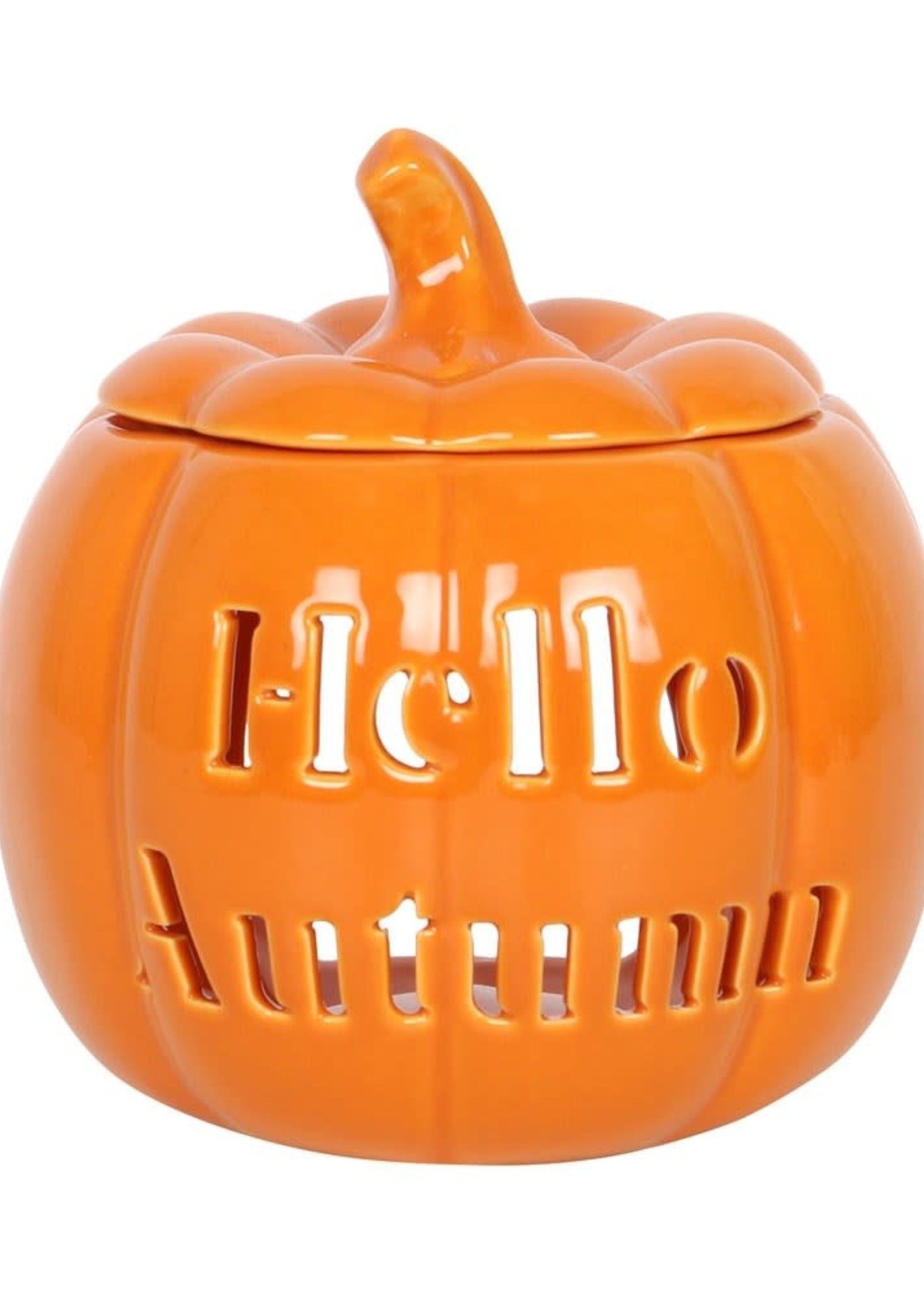 Something Different Hello Autumn Pumkin Oil Burner