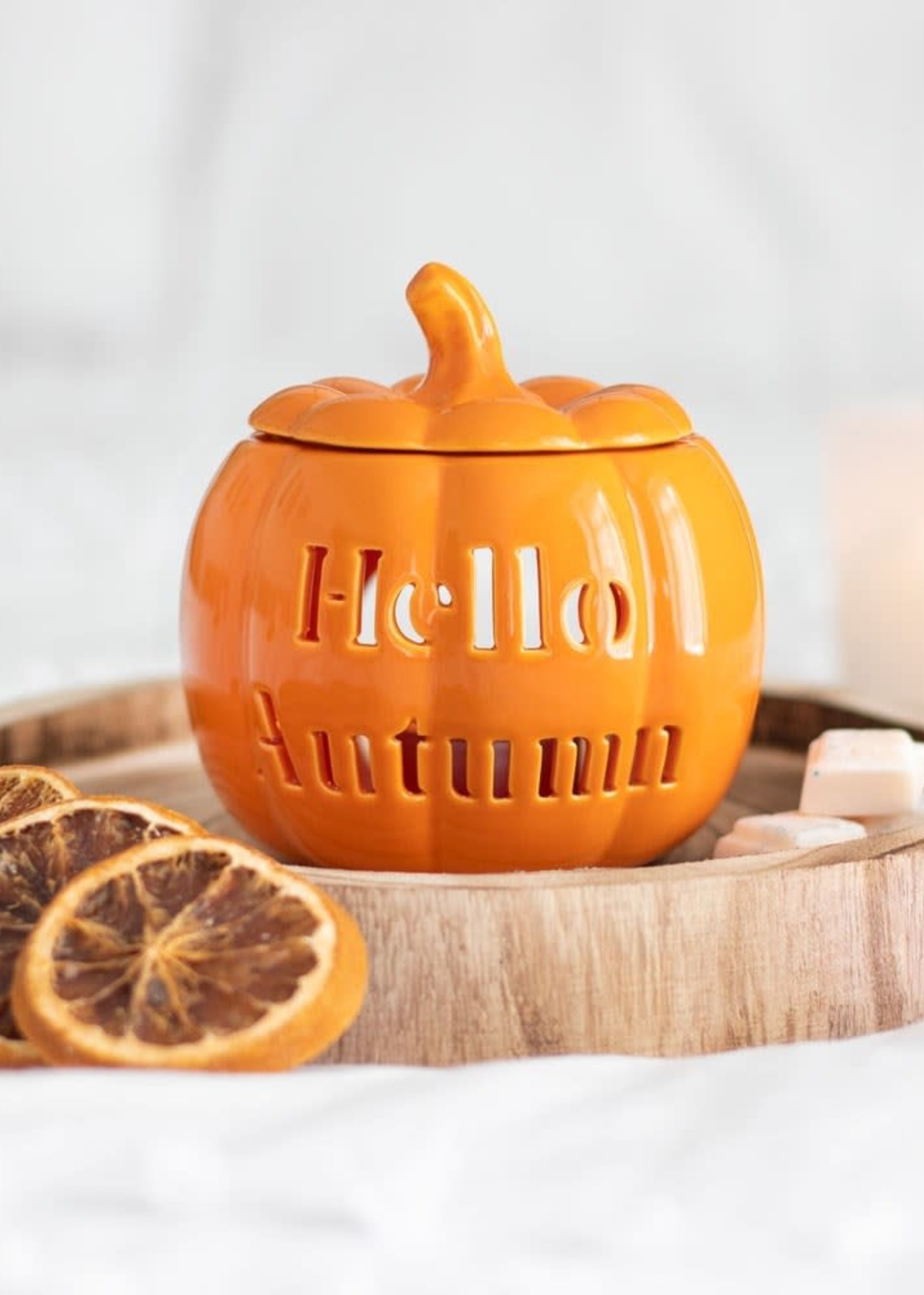 Something Different Hello Autumn Pumkin Oil Burner