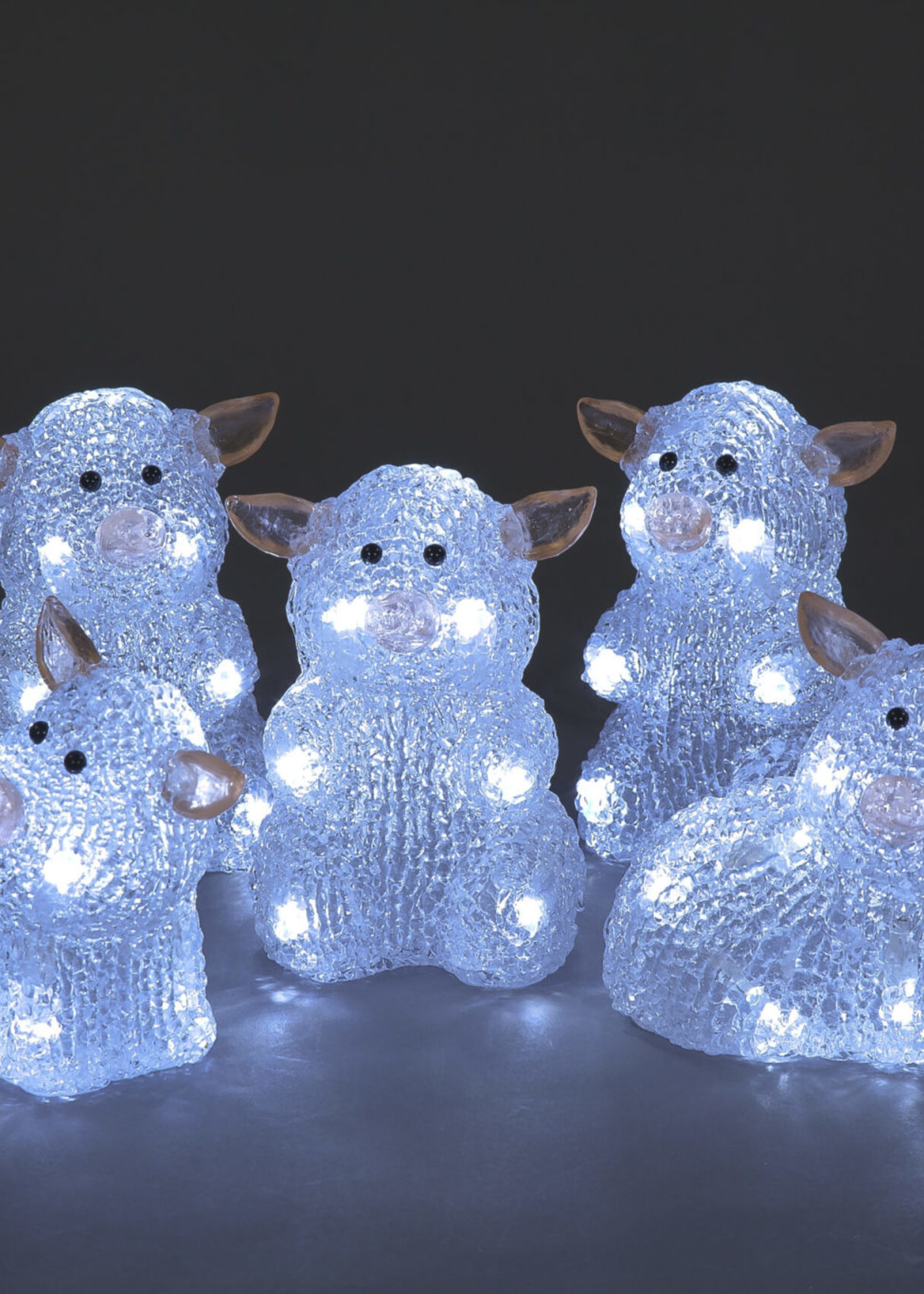 Snowtime 5pc Set of Acrylic Piglets w/ 50 White LEDs