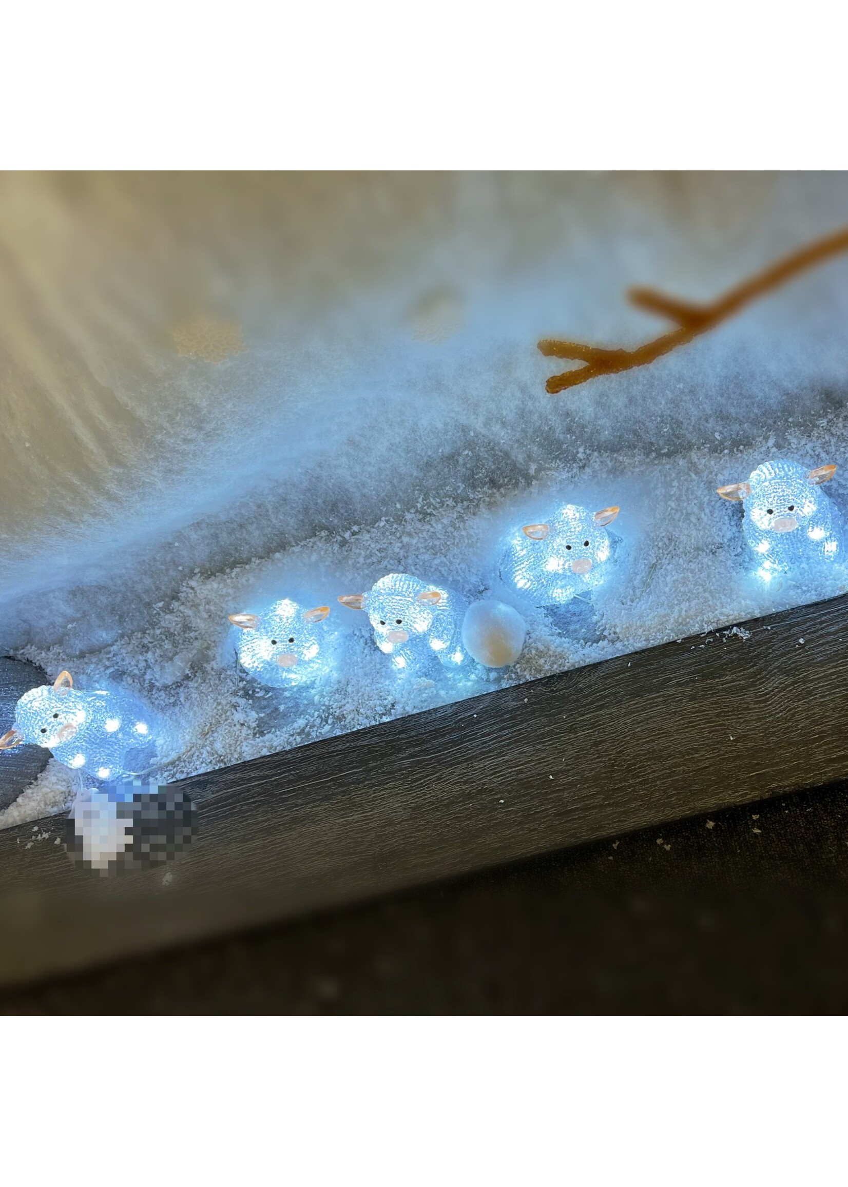 Snowtime 5pc Set of Acrylic Piglets w/ 50 White LEDs