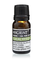 Ancient Wisdom Eucalyptus Essential Oil 10ml