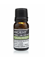 Ancient Wisdom Eucalyptus Essential Oil 10ml