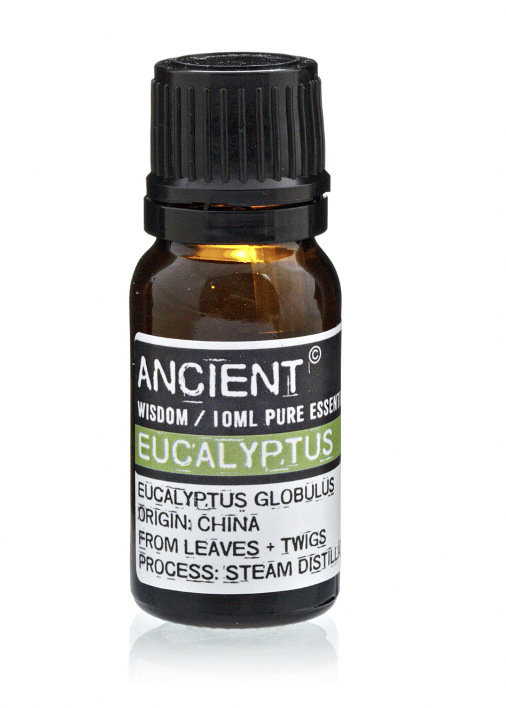 Ancient Wisdom Eucalyptus Essential Oil 10ml