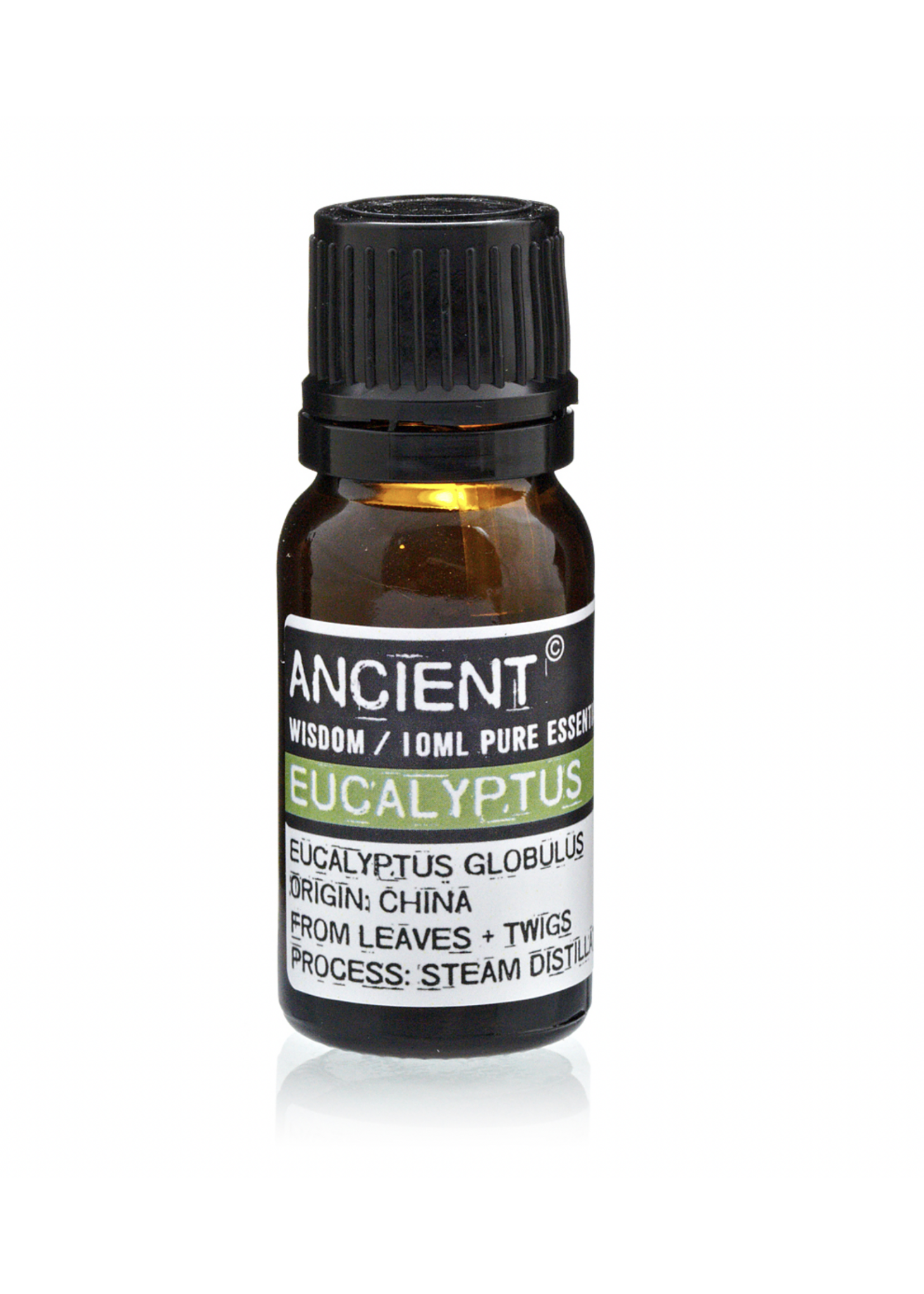 Ancient Wisdom Eucalyptus Essential Oil 10ml