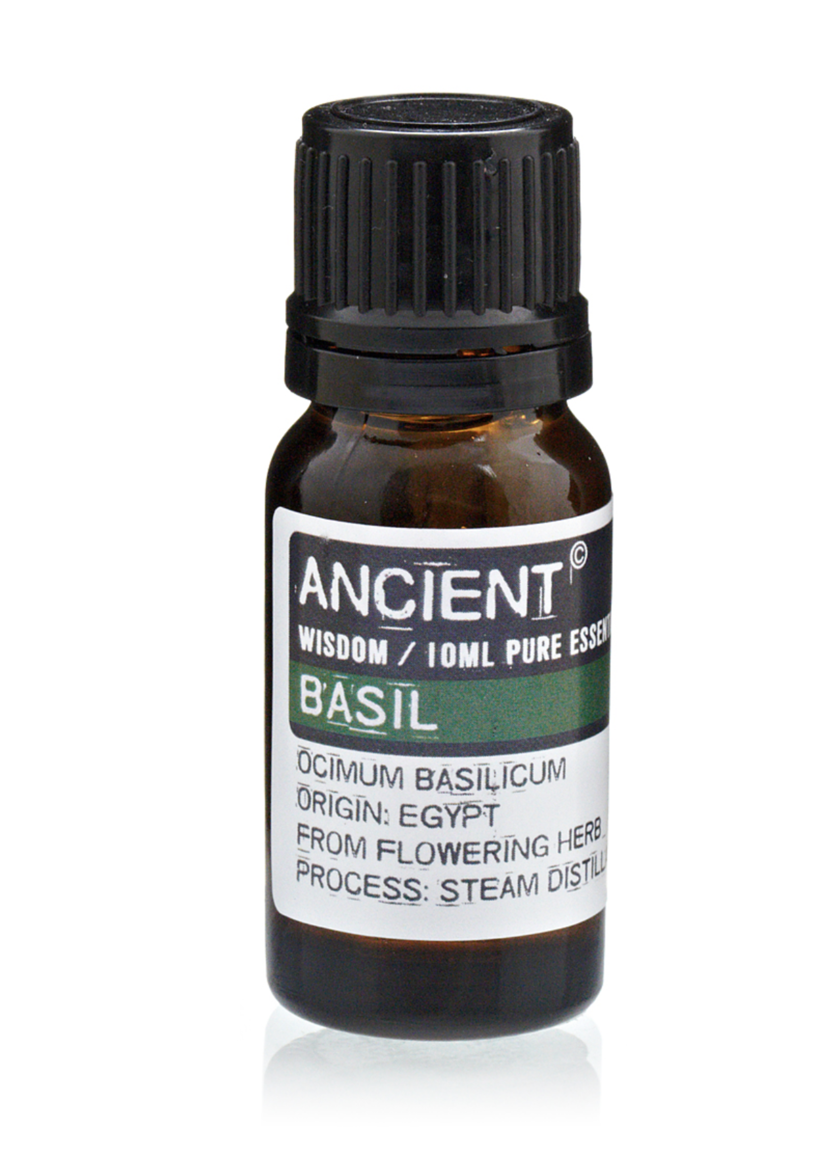 Ancient Wisdom Basil Essential Oil 10ml