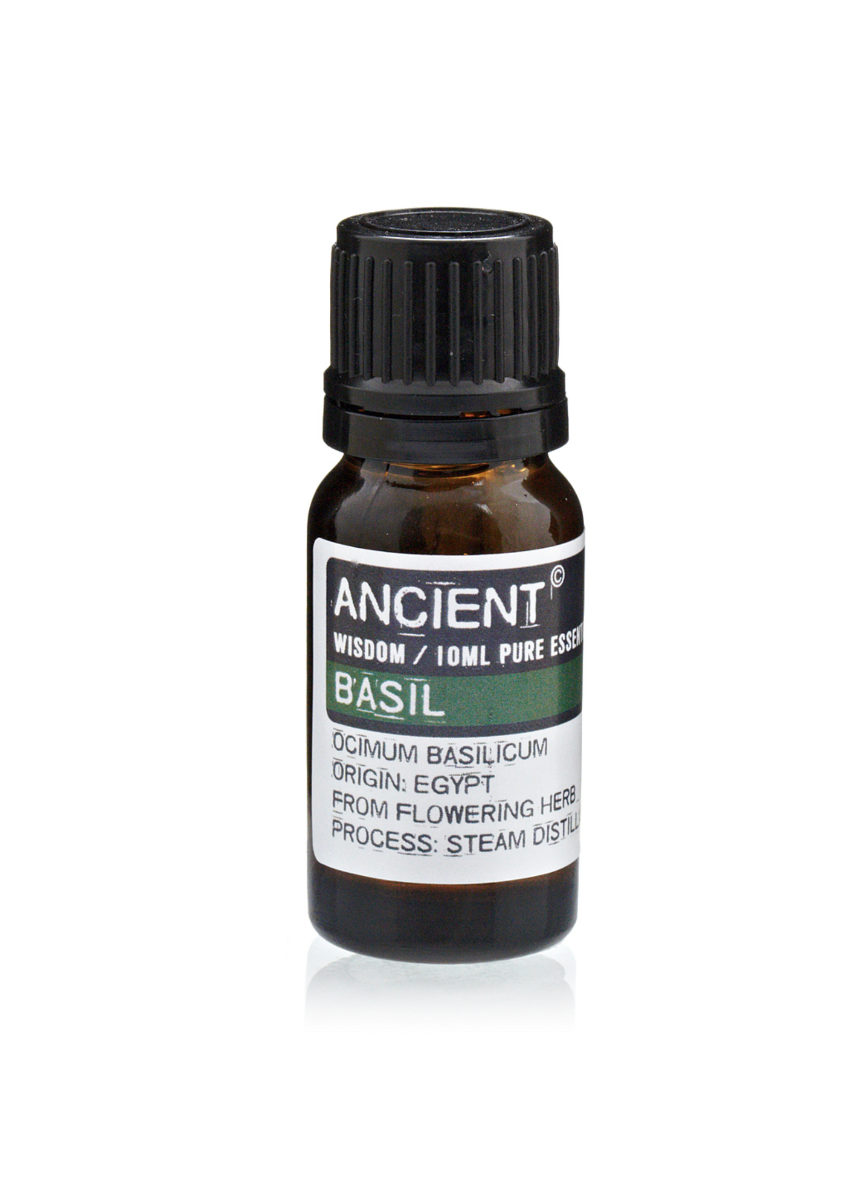 Ancient Wisdom Basil Essential Oil 10ml