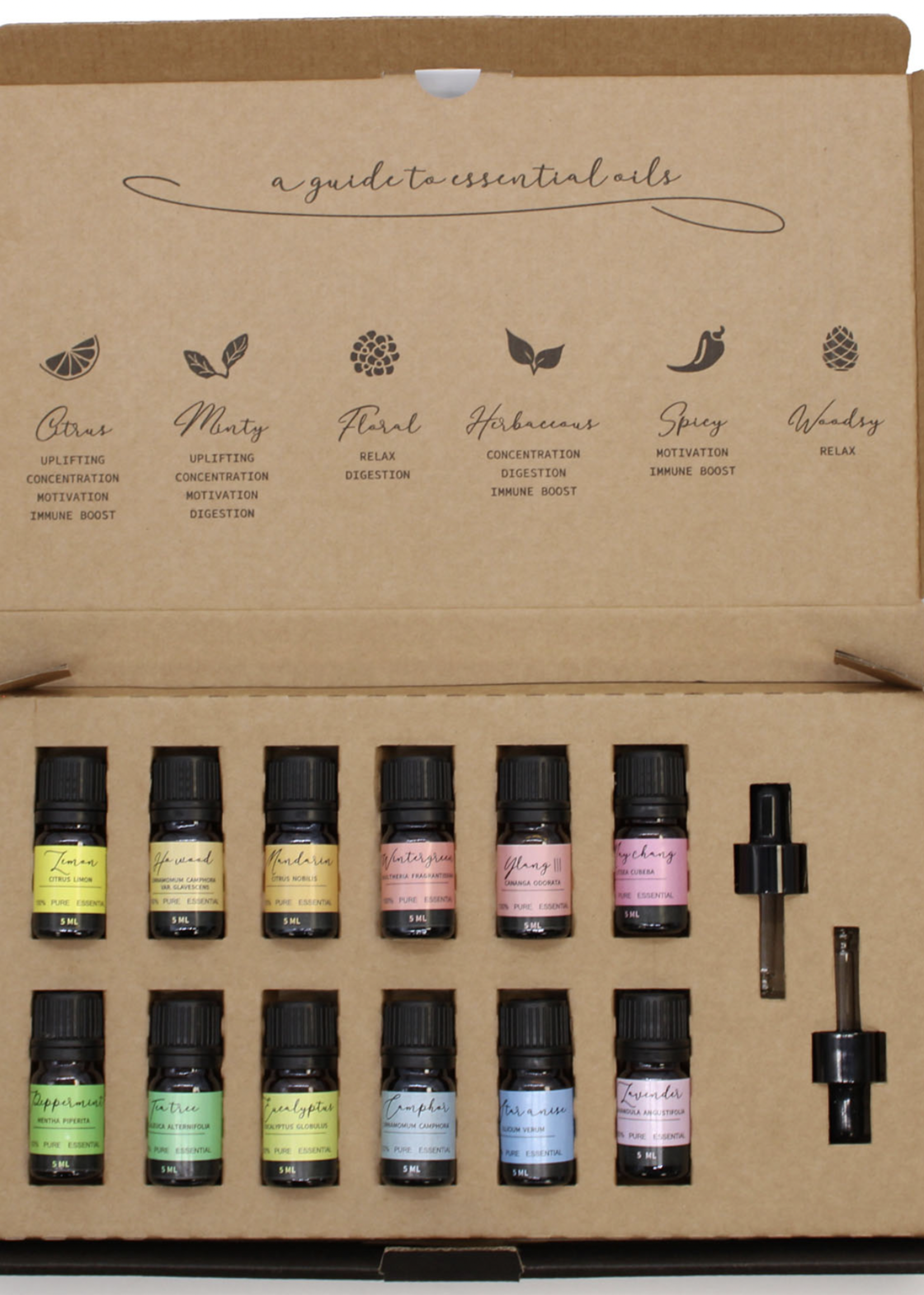 Ancient Wisdom Aromatherapy Essential Oil Set - Starter Pack