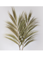 Ancient Wisdom Rayung Grass Natural - 2m