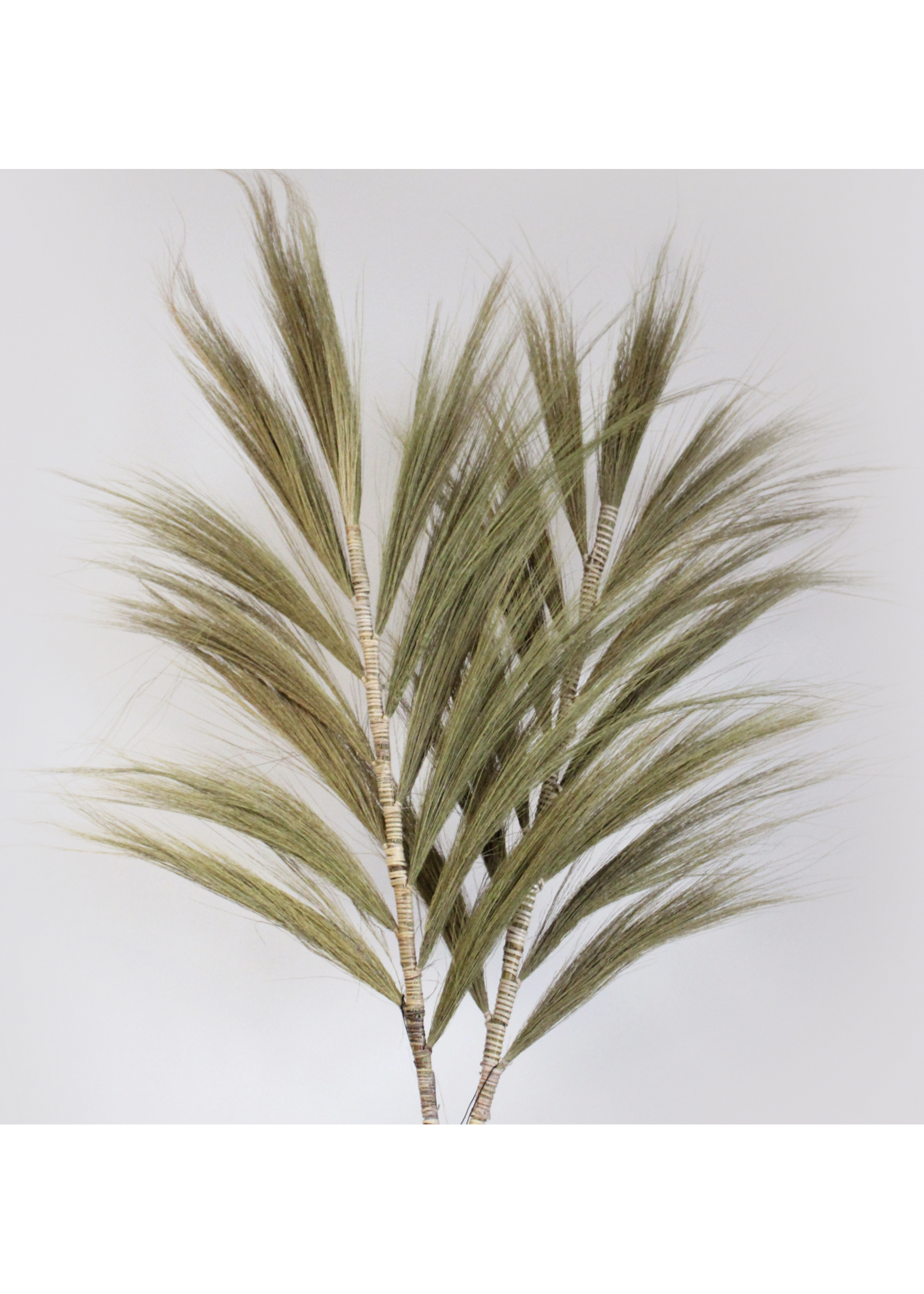 Ancient Wisdom Rayung Grass Natural - 2m