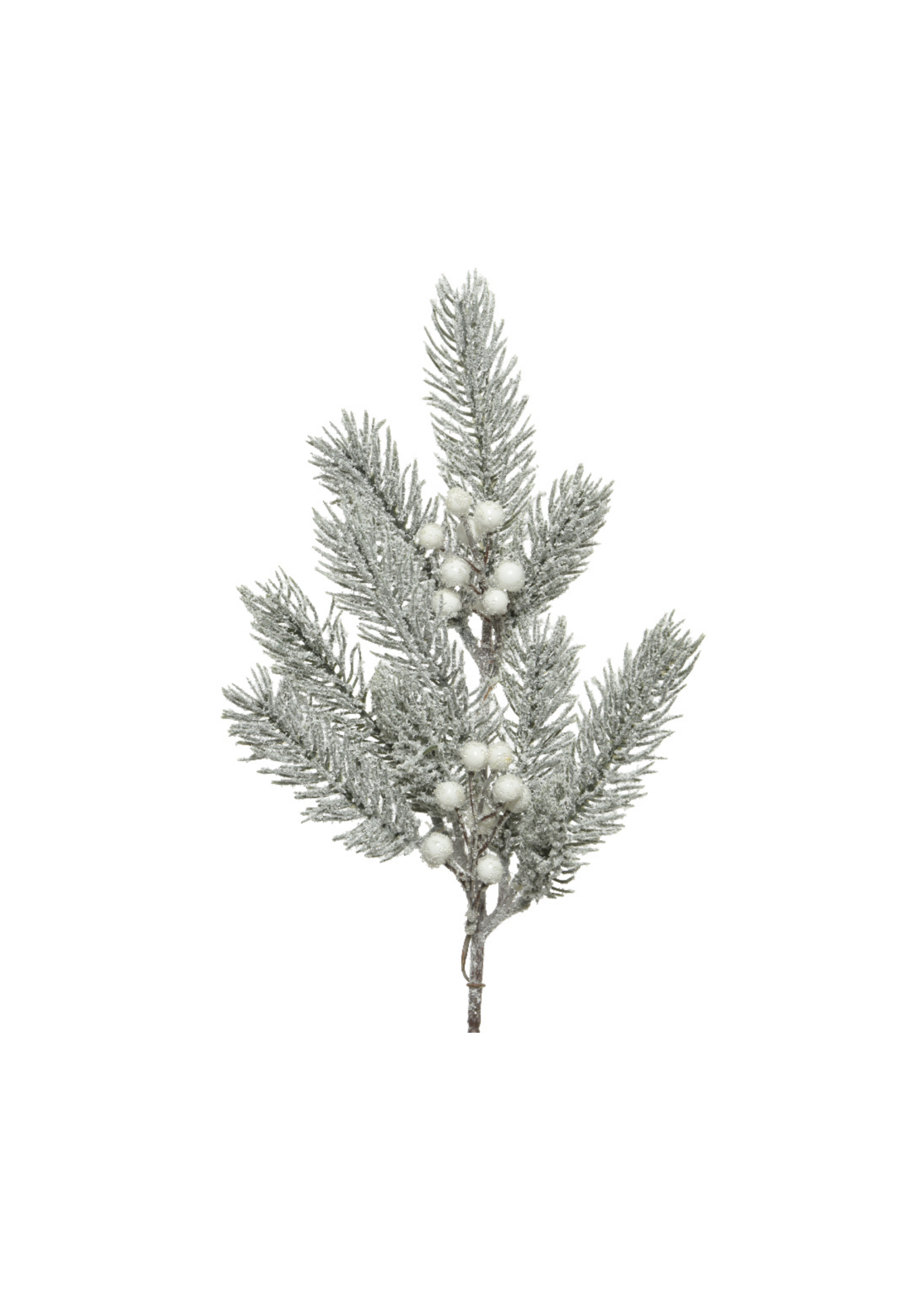 Everlands Snowy Foliage Branch With White Berries