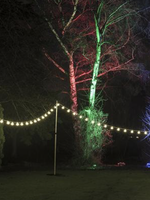 Premier String Light Poles with Hooks 8x60cm or 4x120cm