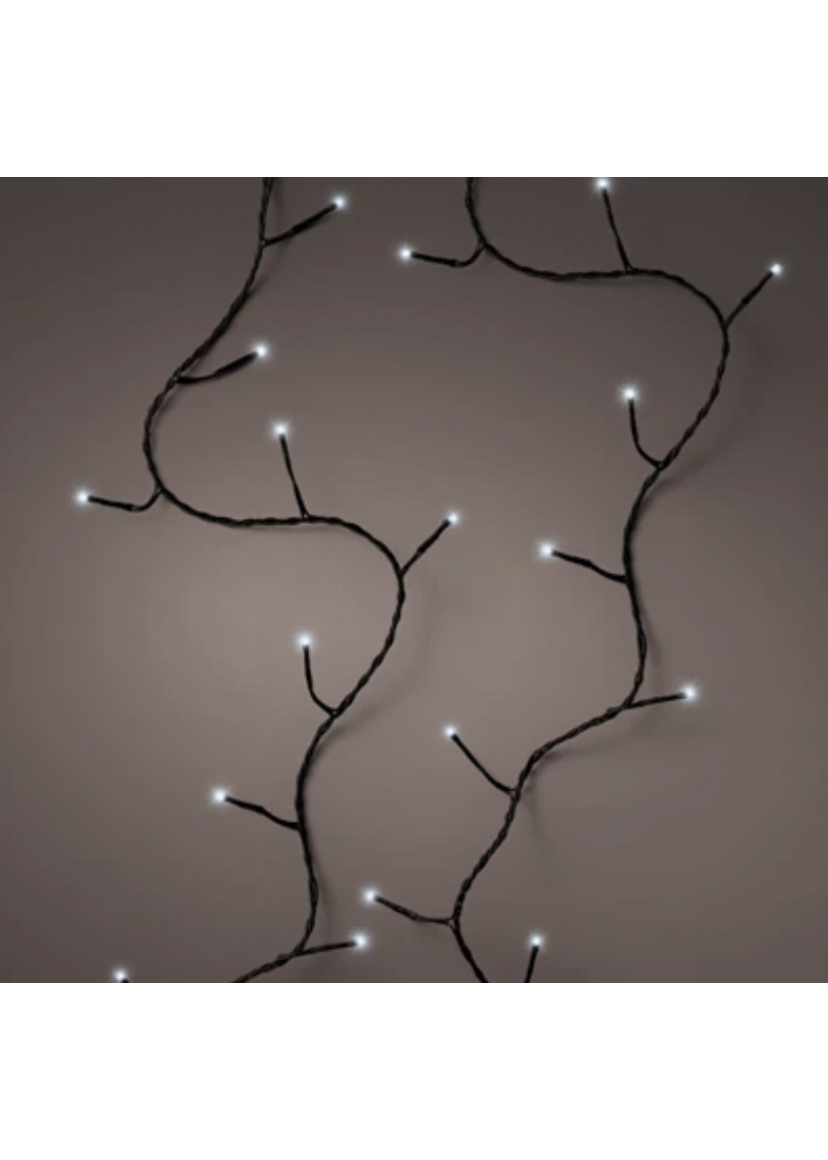 Lumineo Cool White 360 Twinkle LED Lights Indoor/Outdoor