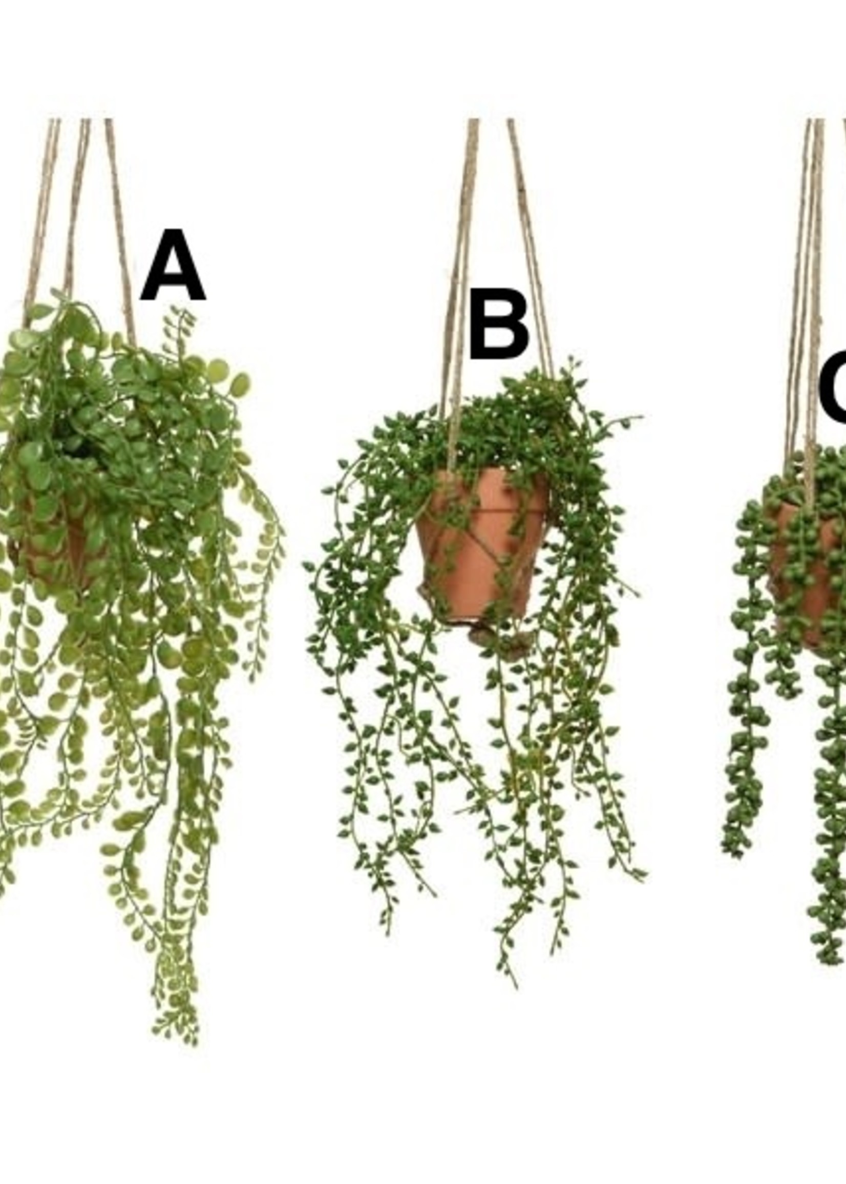 Decoris Hanging Plant in a Pot (3 Assorted - Price is for One) 40cm