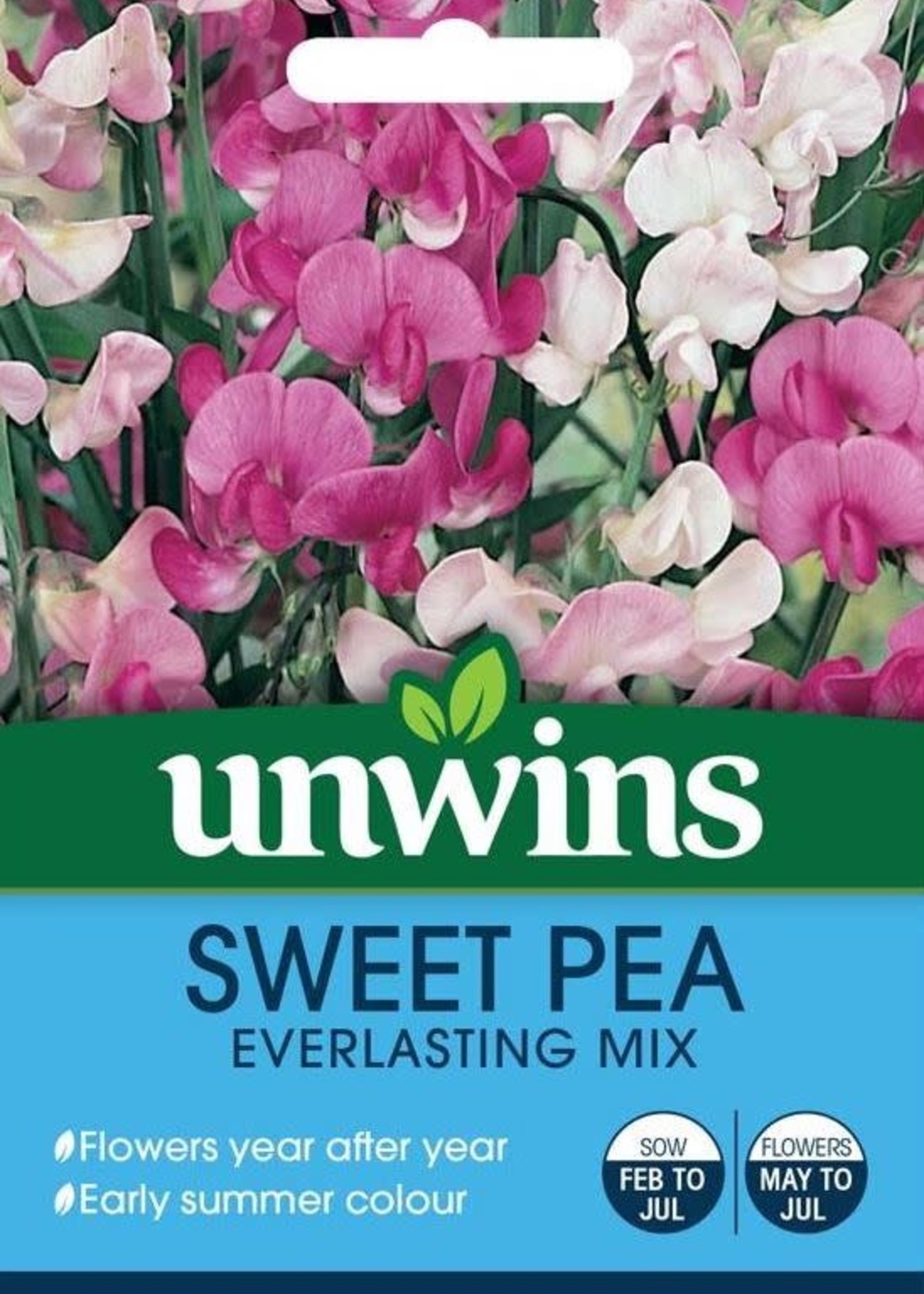 Unwins Sweet Pea - Everlasting mixed